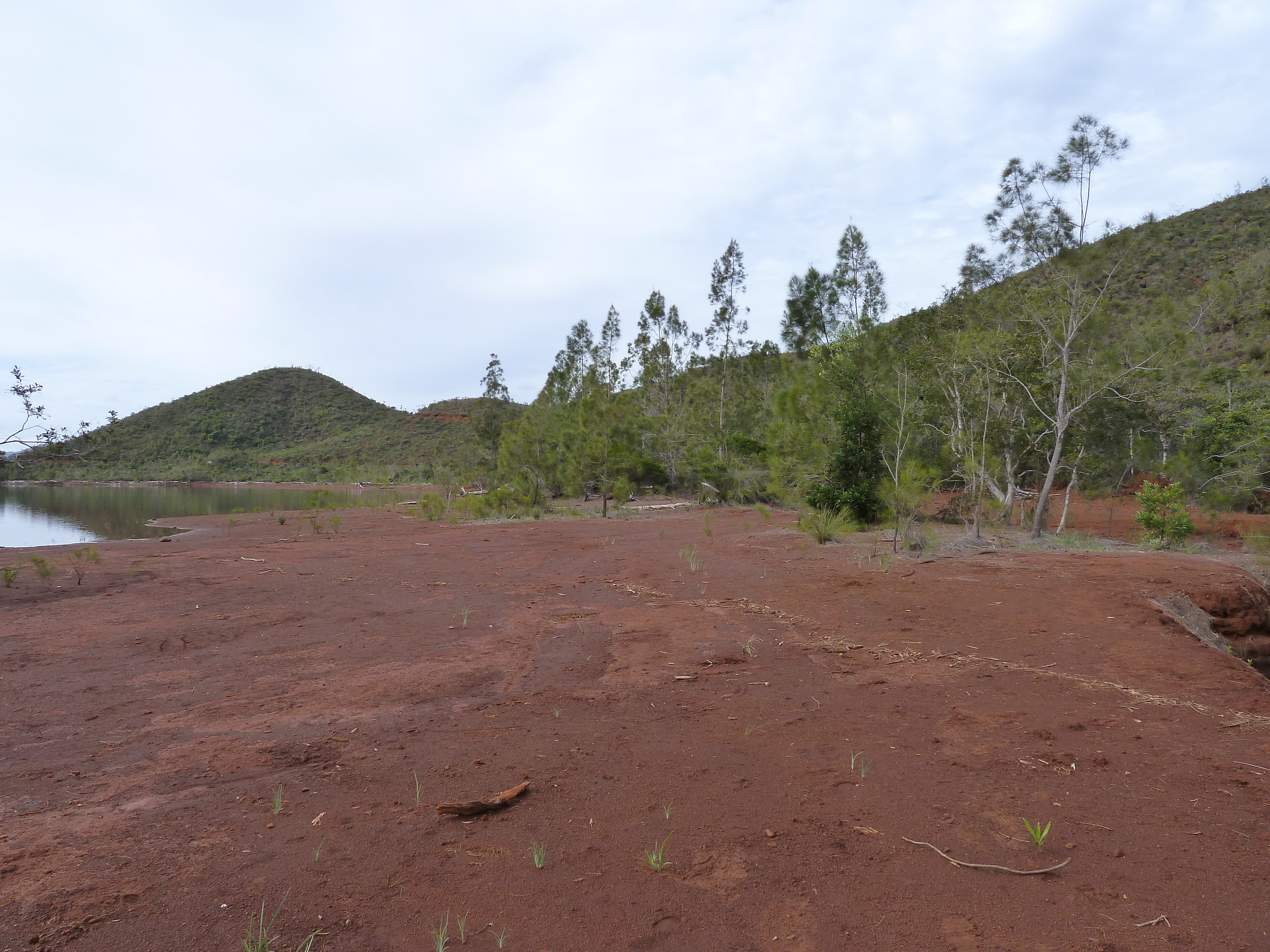 Picture New Caledonia Parc de la Riviere Bleue 2010-05 149 - Tour Parc de la Riviere Bleue