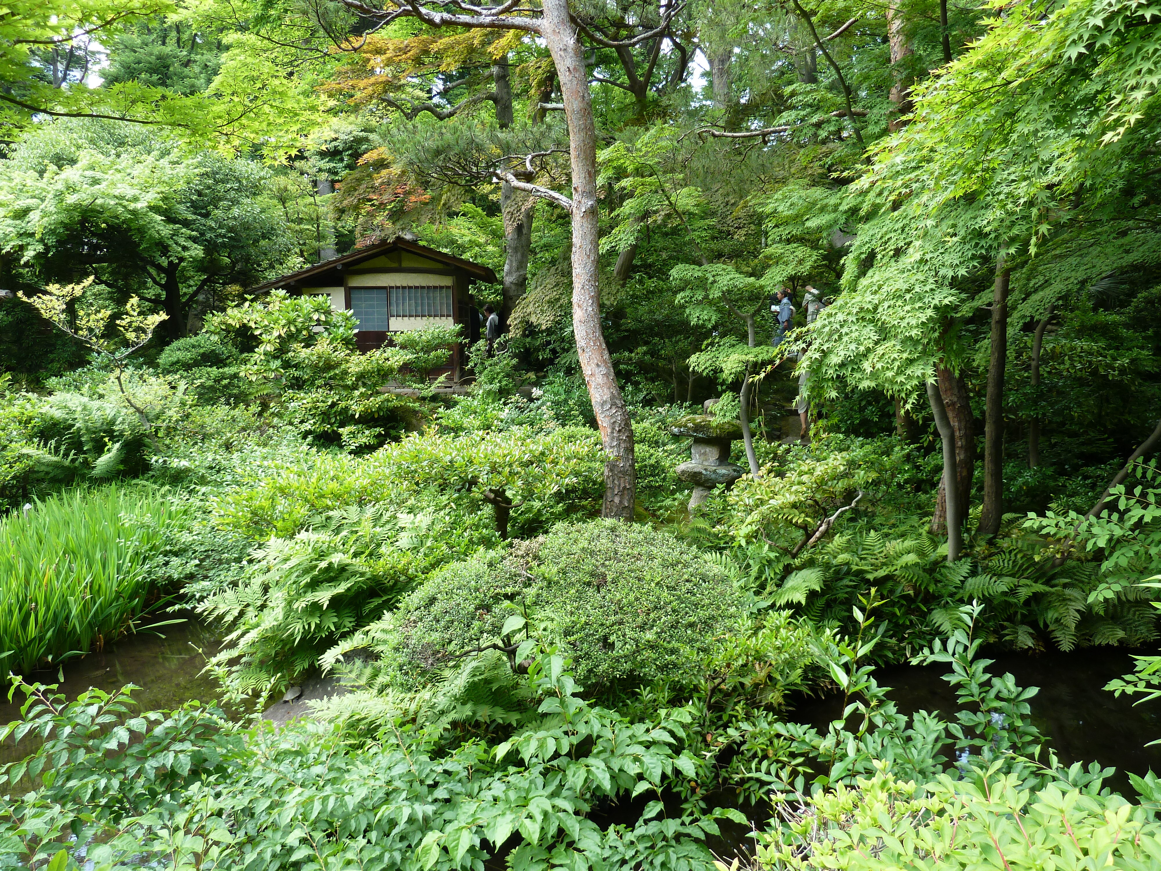 Picture Japan Tokyo Nezu Museum 2010-06 28 - Center Nezu Museum