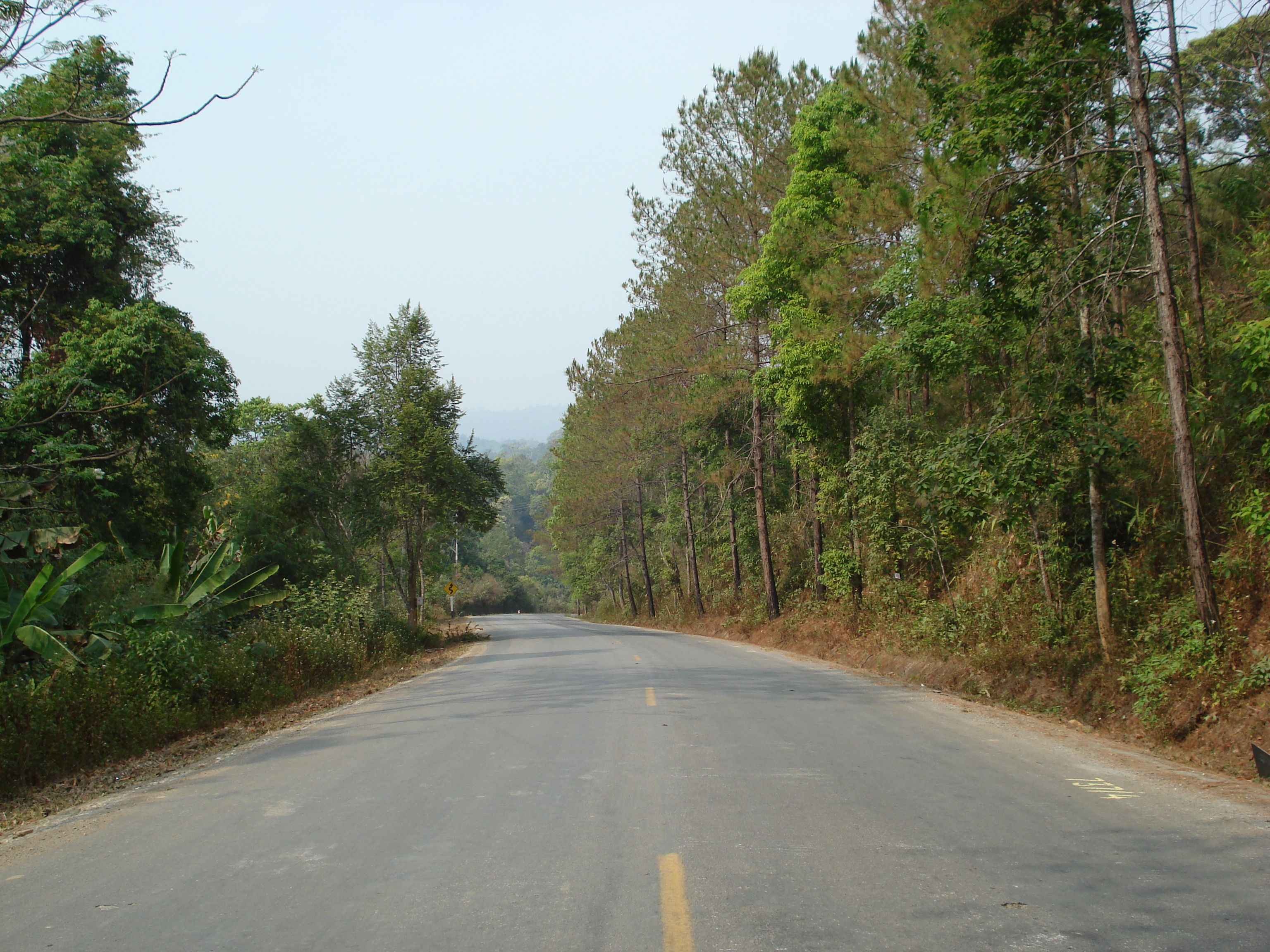 Picture Thailand Chiang Mai to Pai road 2007-02 76 - Tour Chiang Mai to Pai road