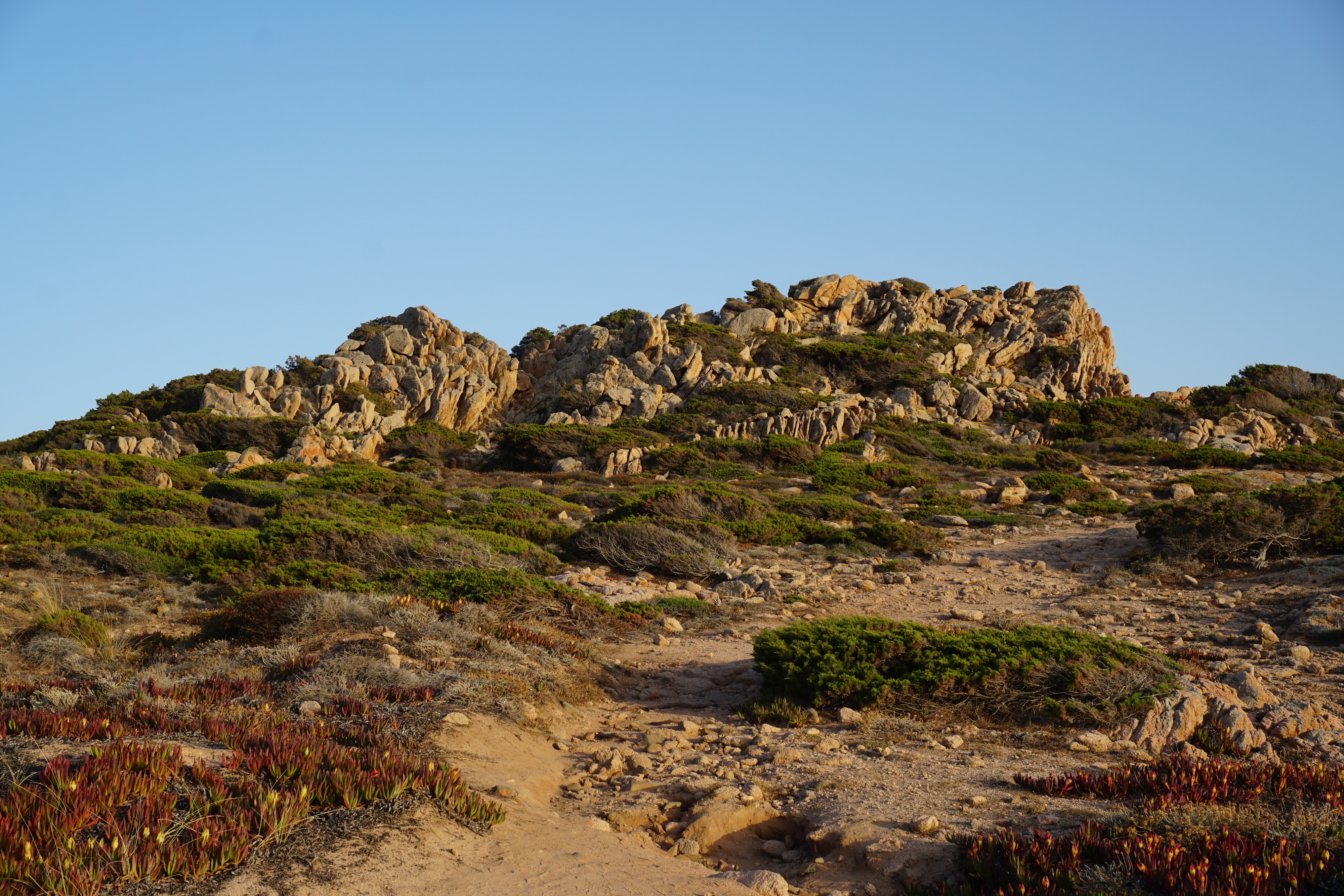 Picture France Corsica Tonnara Beach 2017-07 43 - Tour Tonnara Beach