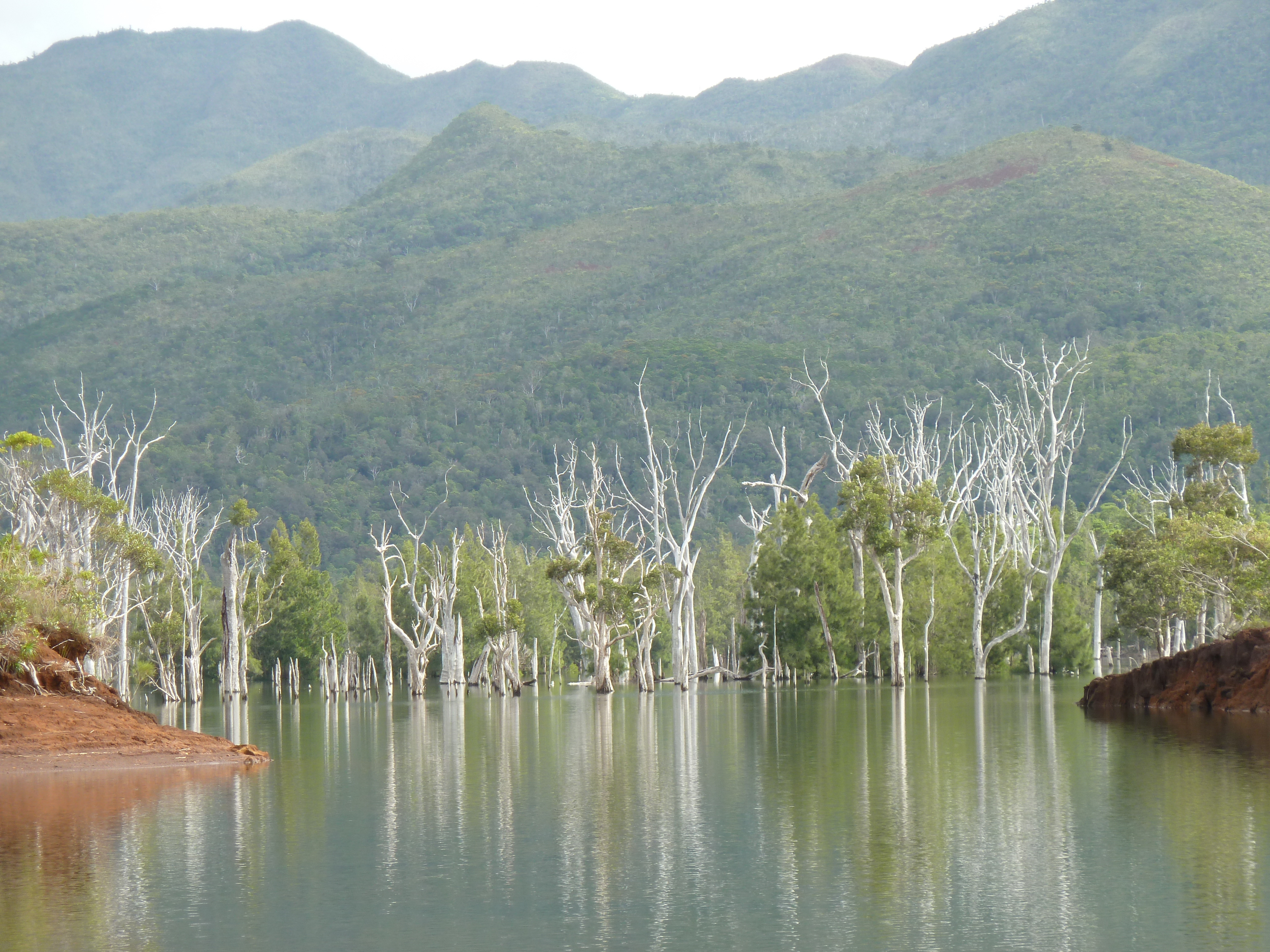 Picture New Caledonia Parc de la Riviere Bleue 2010-05 16 - Around Parc de la Riviere Bleue