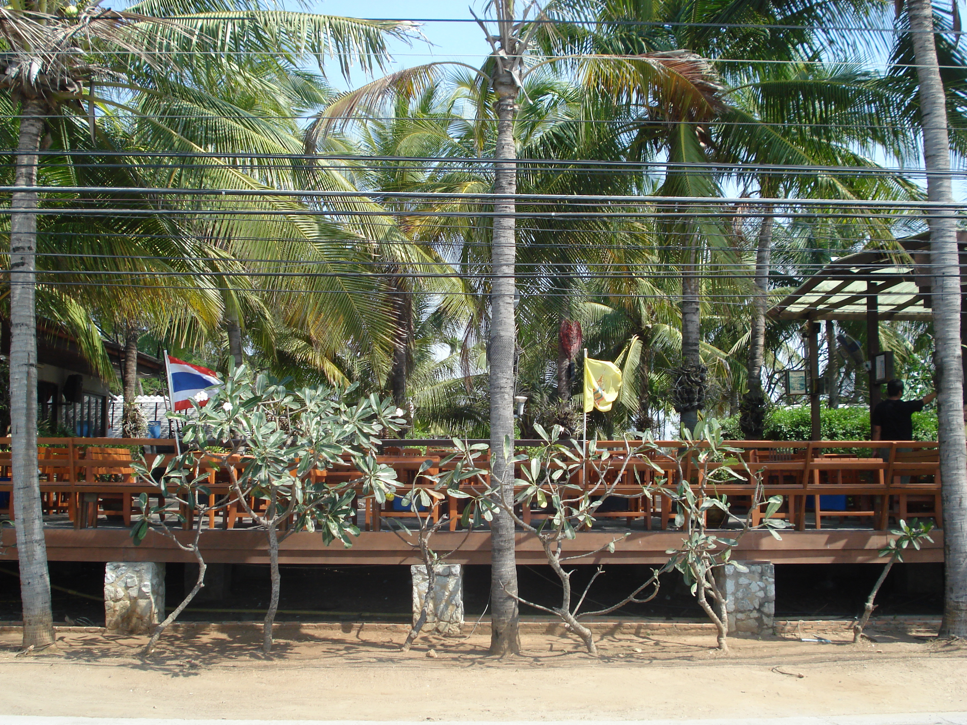 Picture Thailand Jomtien Jomtien Seashore 2008-01 23 - Discovery Jomtien Seashore