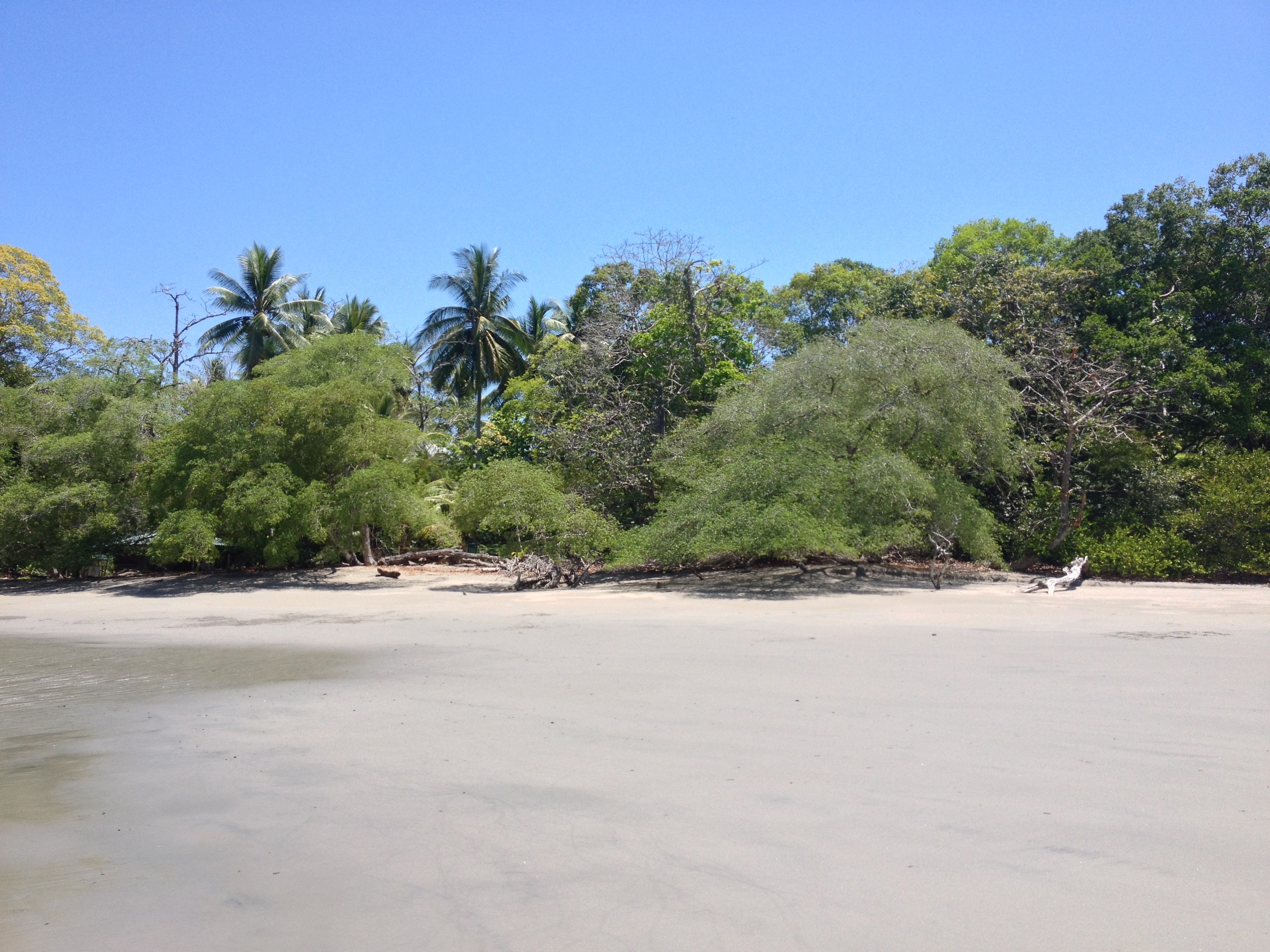 Picture Costa Rica Manuel Antonio 2015-03 316 - History Manuel Antonio