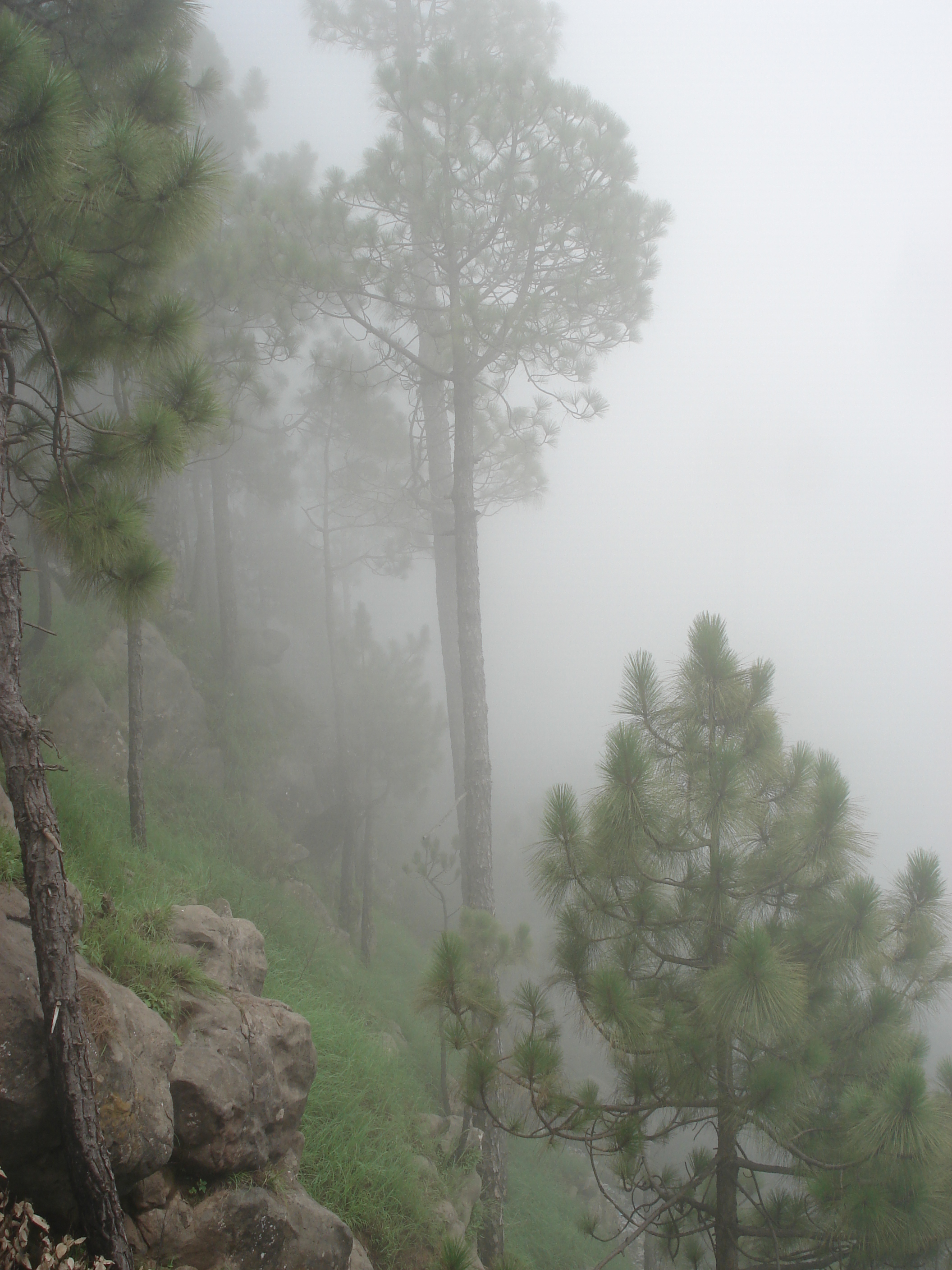 Picture Pakistan Murree 2006-08 29 - Discovery Murree