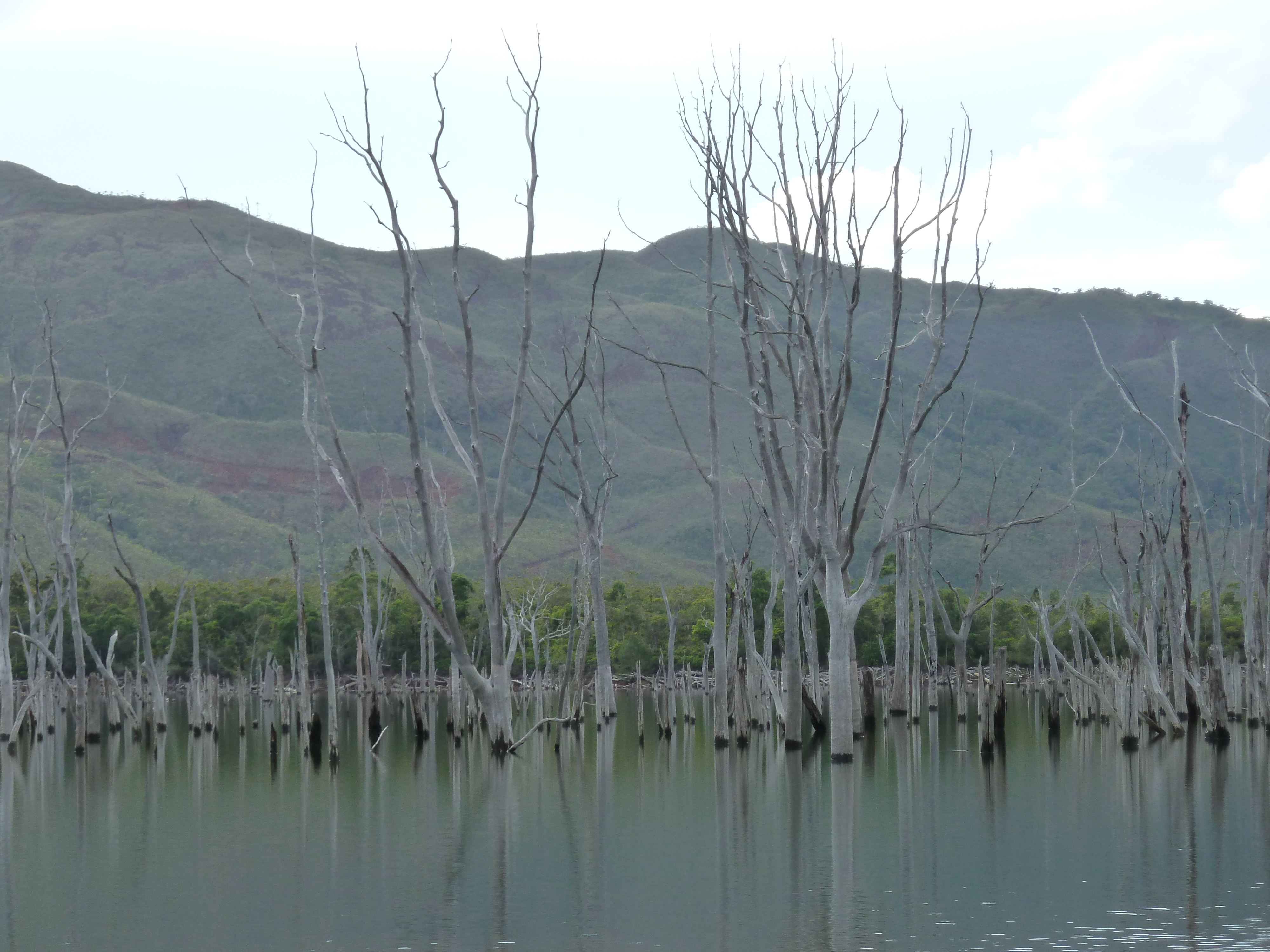 Picture New Caledonia Parc de la Riviere Bleue 2010-05 0 - Tours Parc de la Riviere Bleue