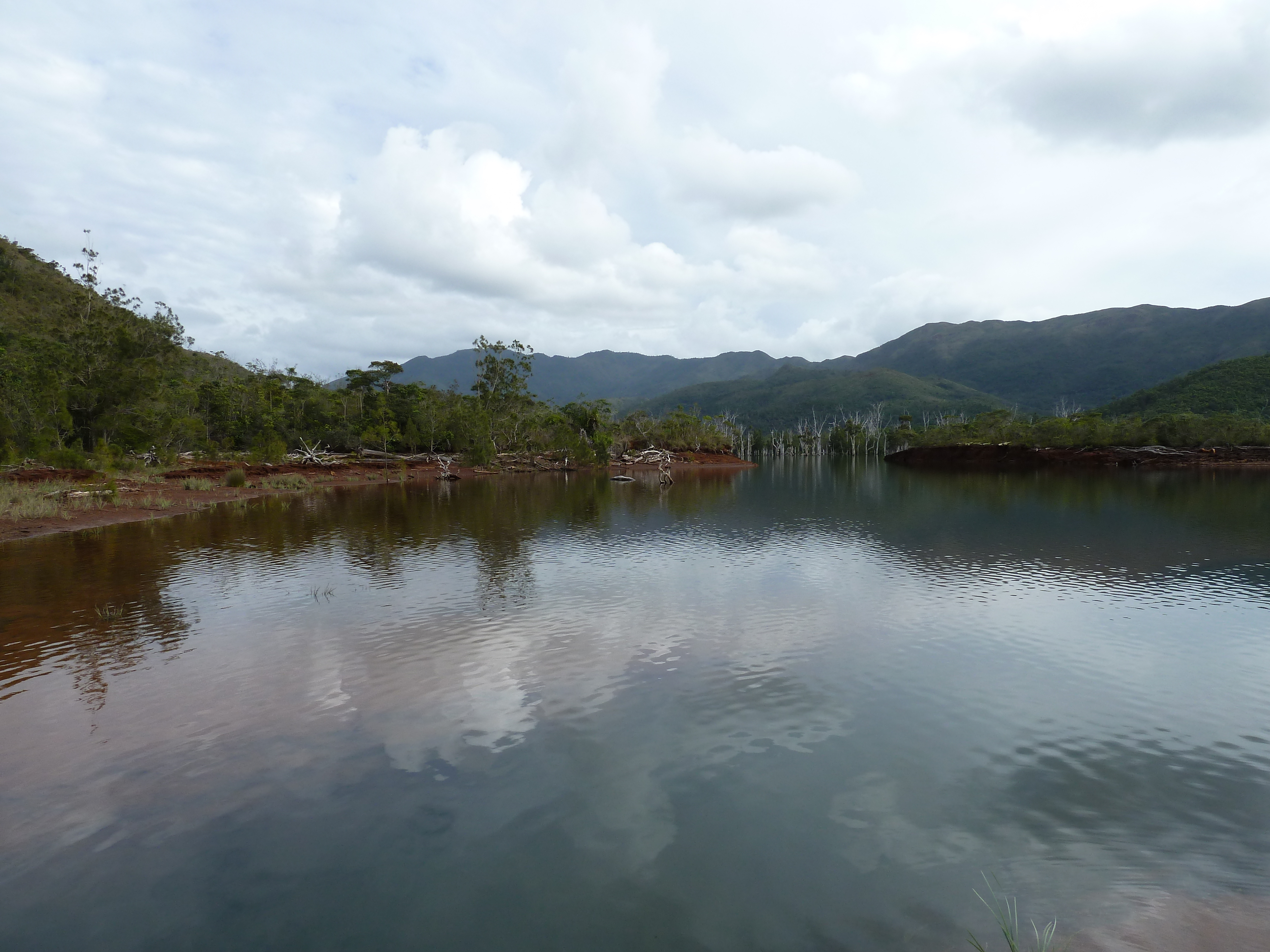 Picture New Caledonia Parc de la Riviere Bleue 2010-05 6 - Recreation Parc de la Riviere Bleue