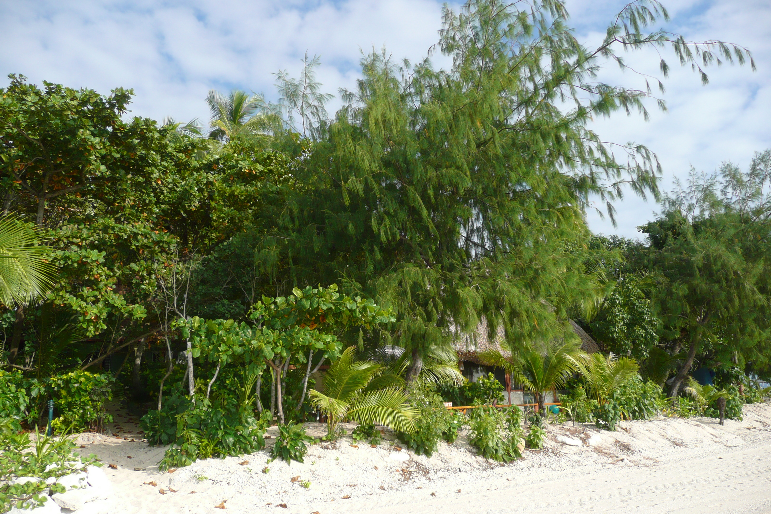 Picture Fiji Beachcomber Island 2010-05 26 - Center Beachcomber Island