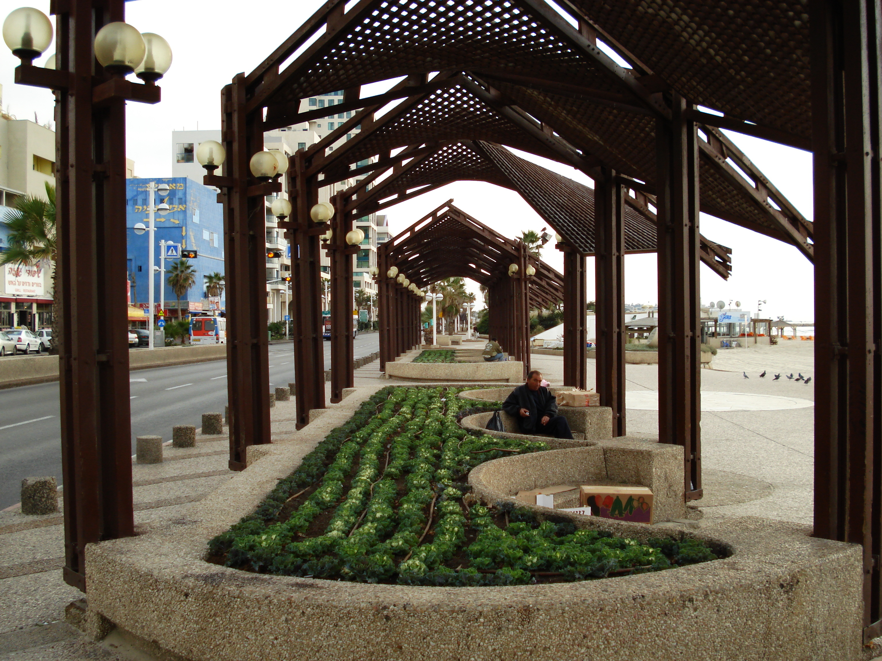 Picture Israel Tel Aviv Tel Aviv Sea Shore 2006-12 225 - Tours Tel Aviv Sea Shore