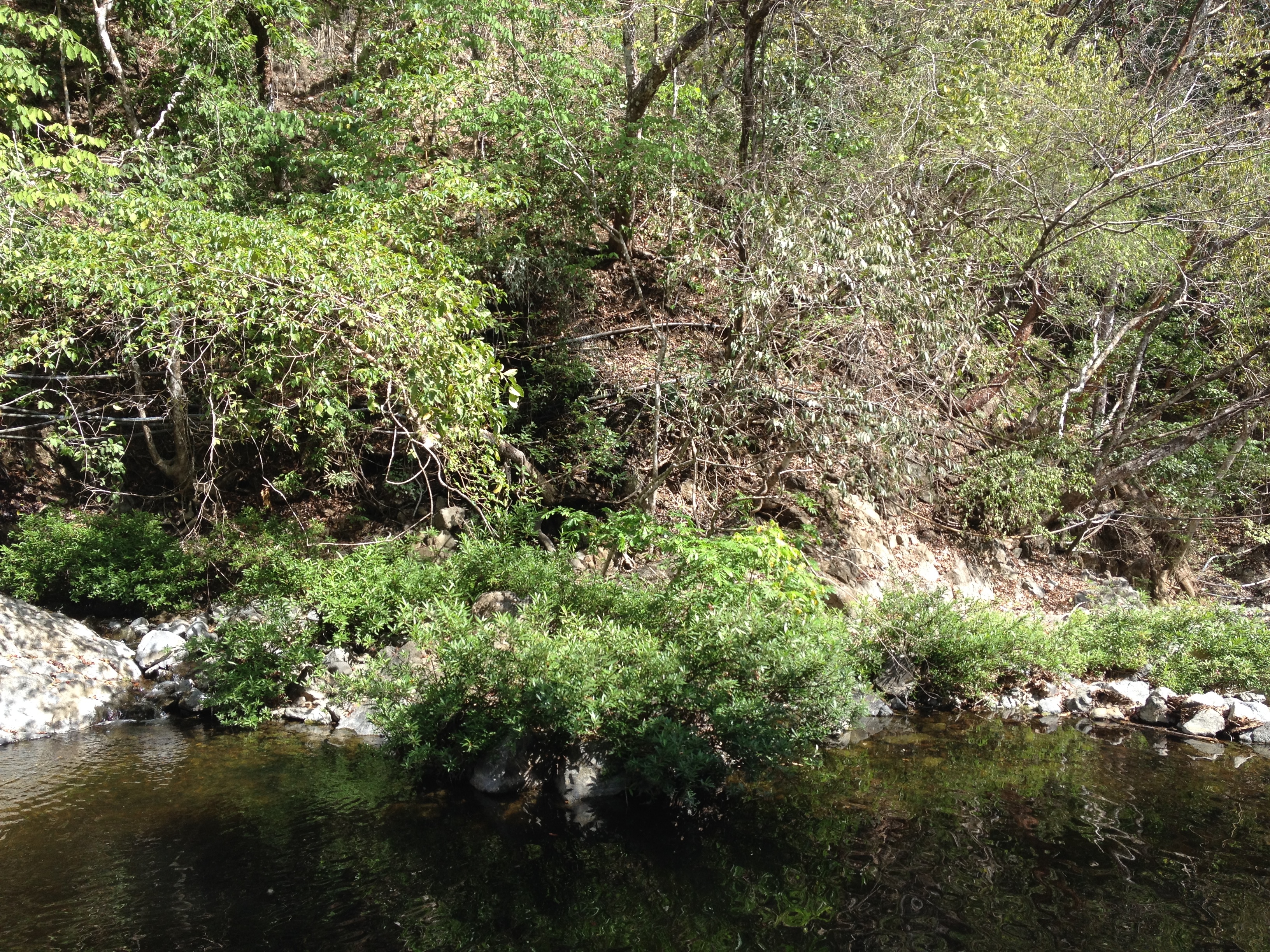 Picture Costa Rica Montezuma 2015-03 364 - History Montezuma