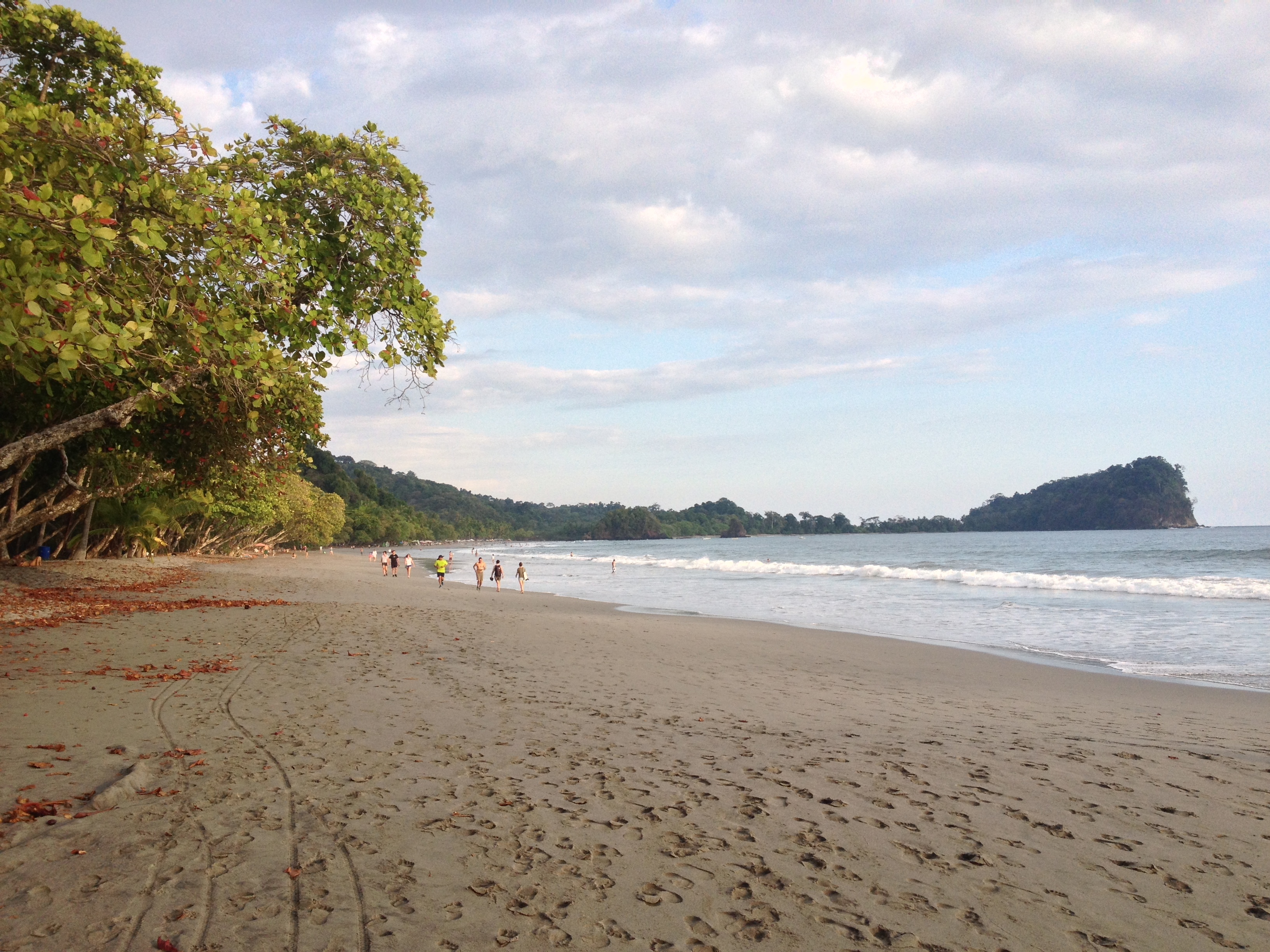 Picture Costa Rica Manuel Antonio 2015-03 493 - Tours Manuel Antonio