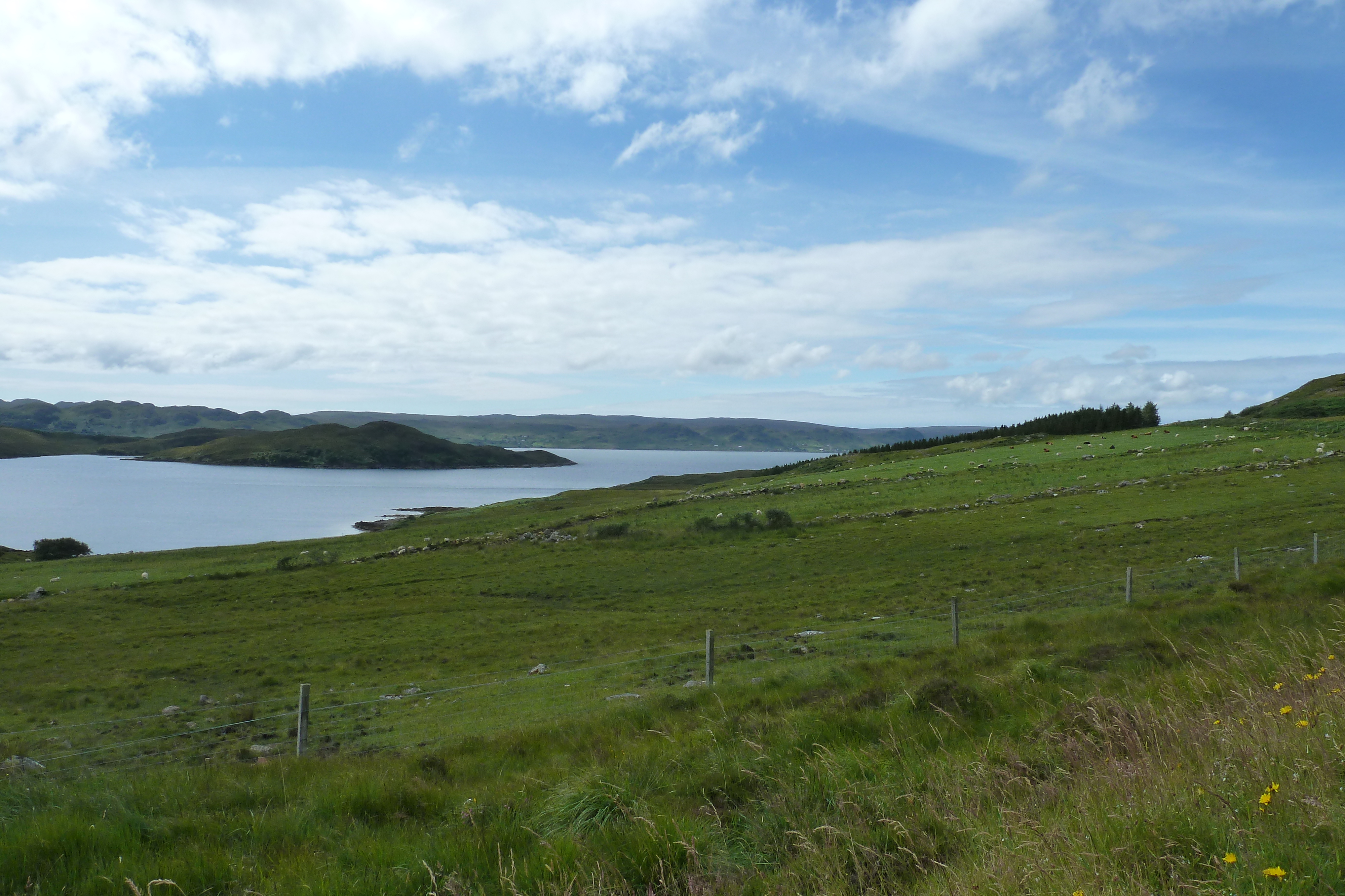 Picture United Kingdom Scotland Gairloch 2011-07 23 - Discovery Gairloch