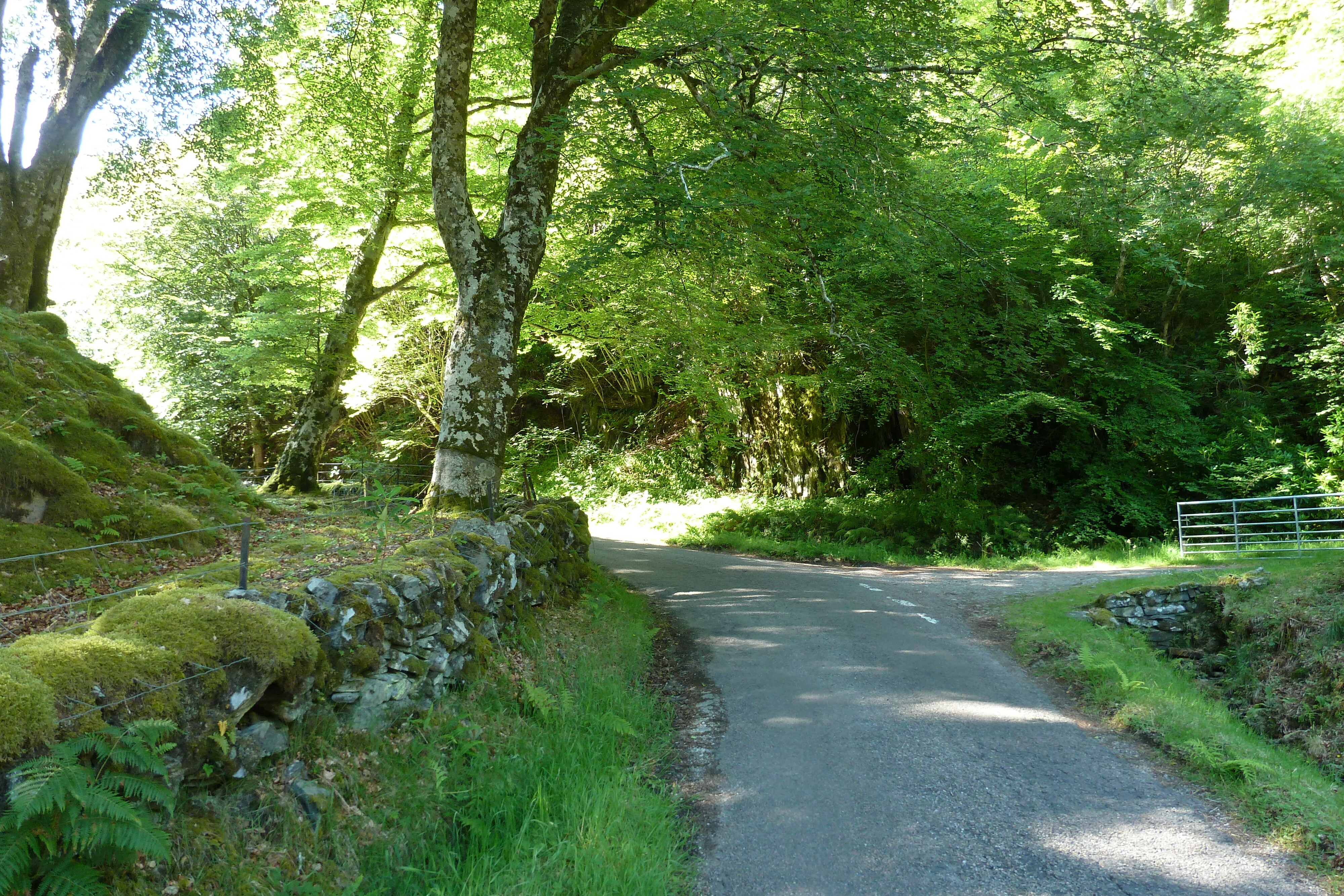 Picture United Kingdom Scotland Salen 2011-07 70 - Recreation Salen