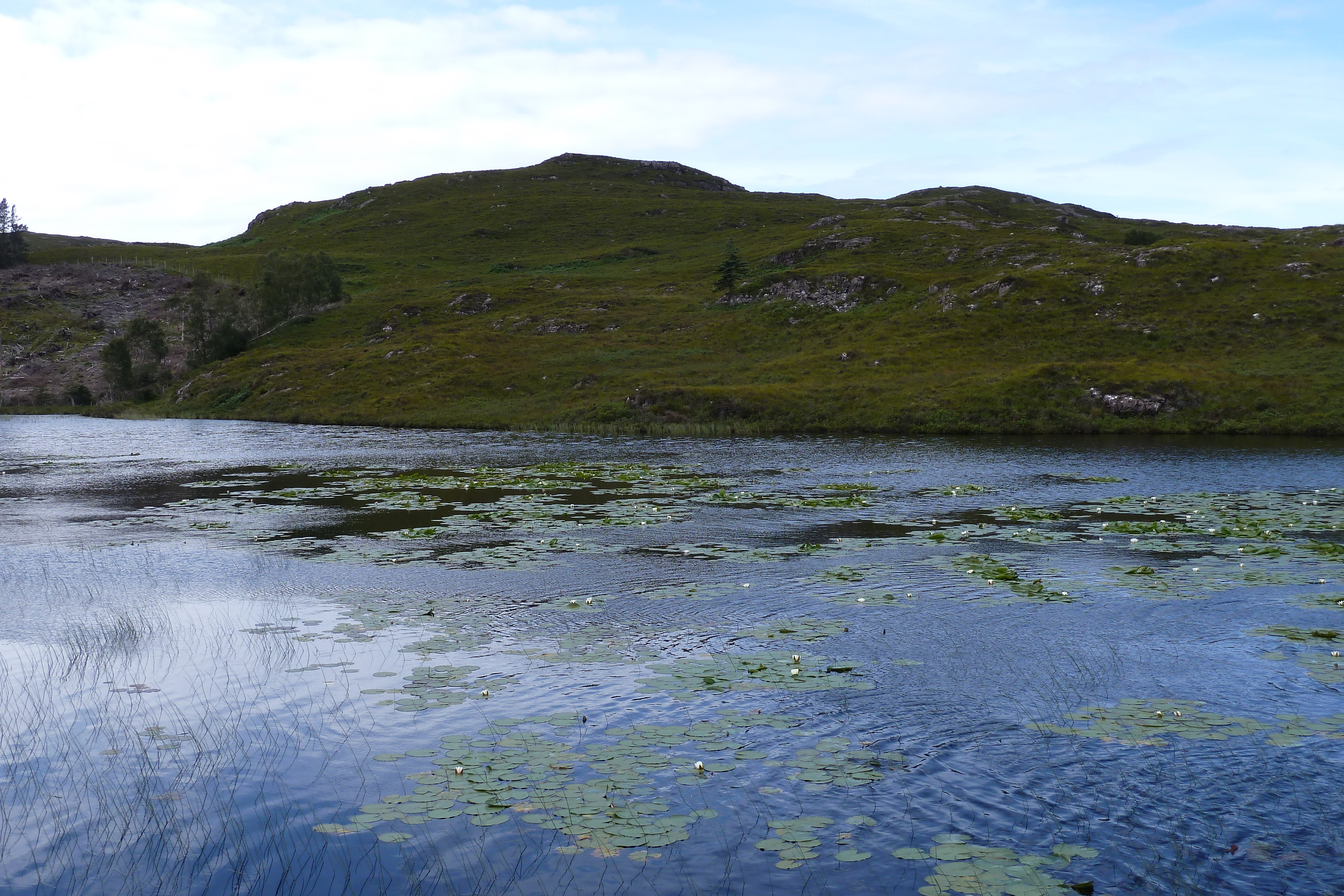 Picture United Kingdom Scotland Gairloch 2011-07 39 - Recreation Gairloch