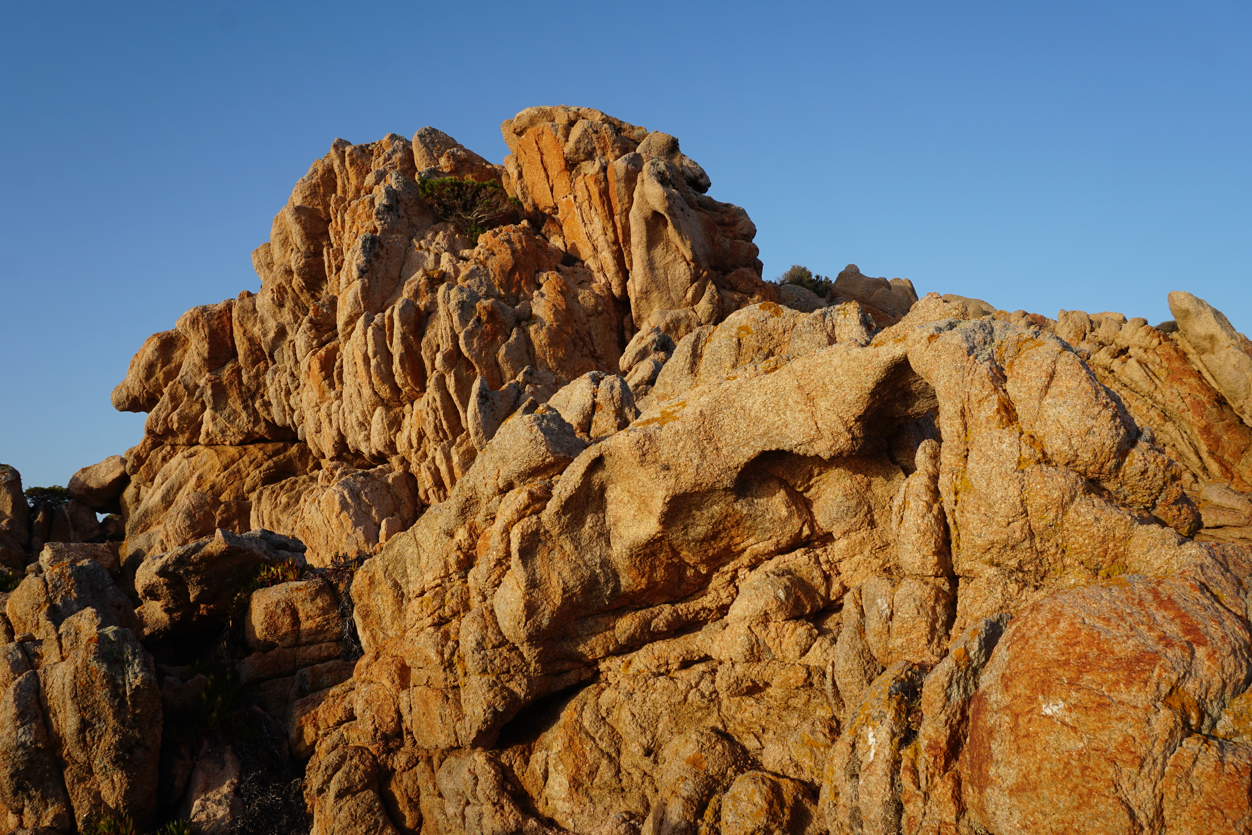 Picture France Corsica Tonnara Beach 2017-07 7 - Center Tonnara Beach