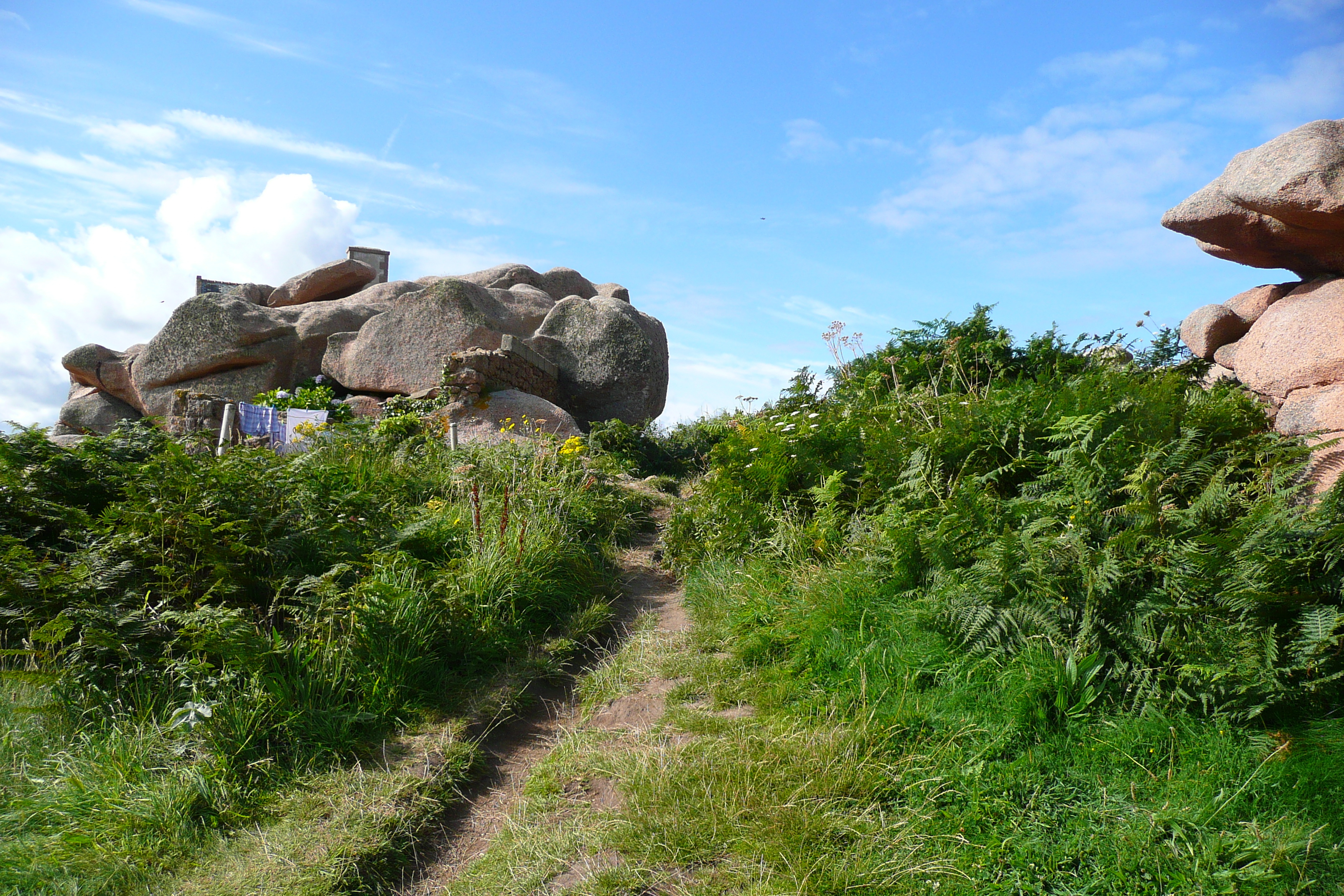 Picture France Perros Guirec Cote de granite rose 2007-08 52 - Tour Cote de granite rose