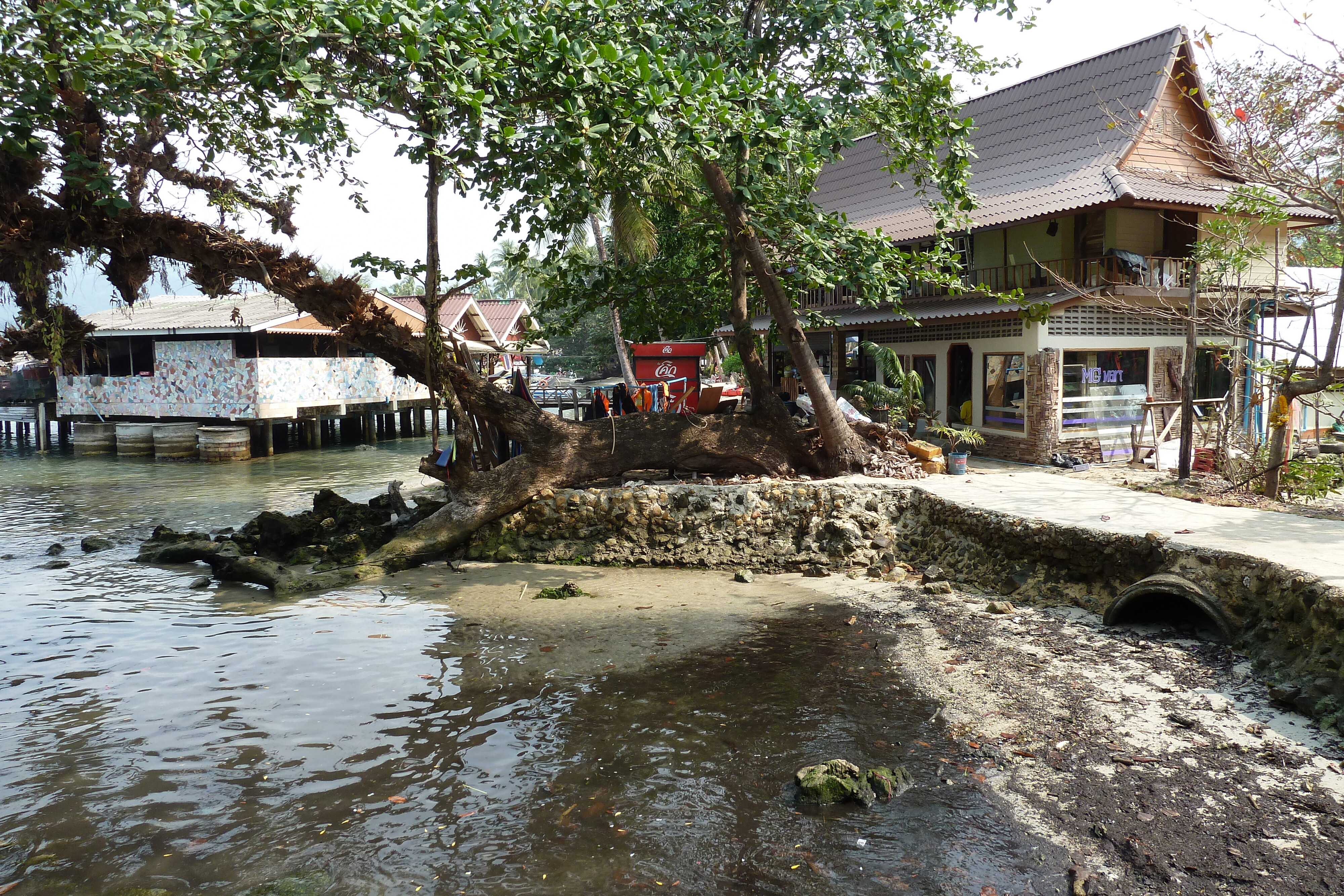 Picture Thailand Ko Chang Klong Prao beach 2011-02 3 - Discovery Klong Prao beach