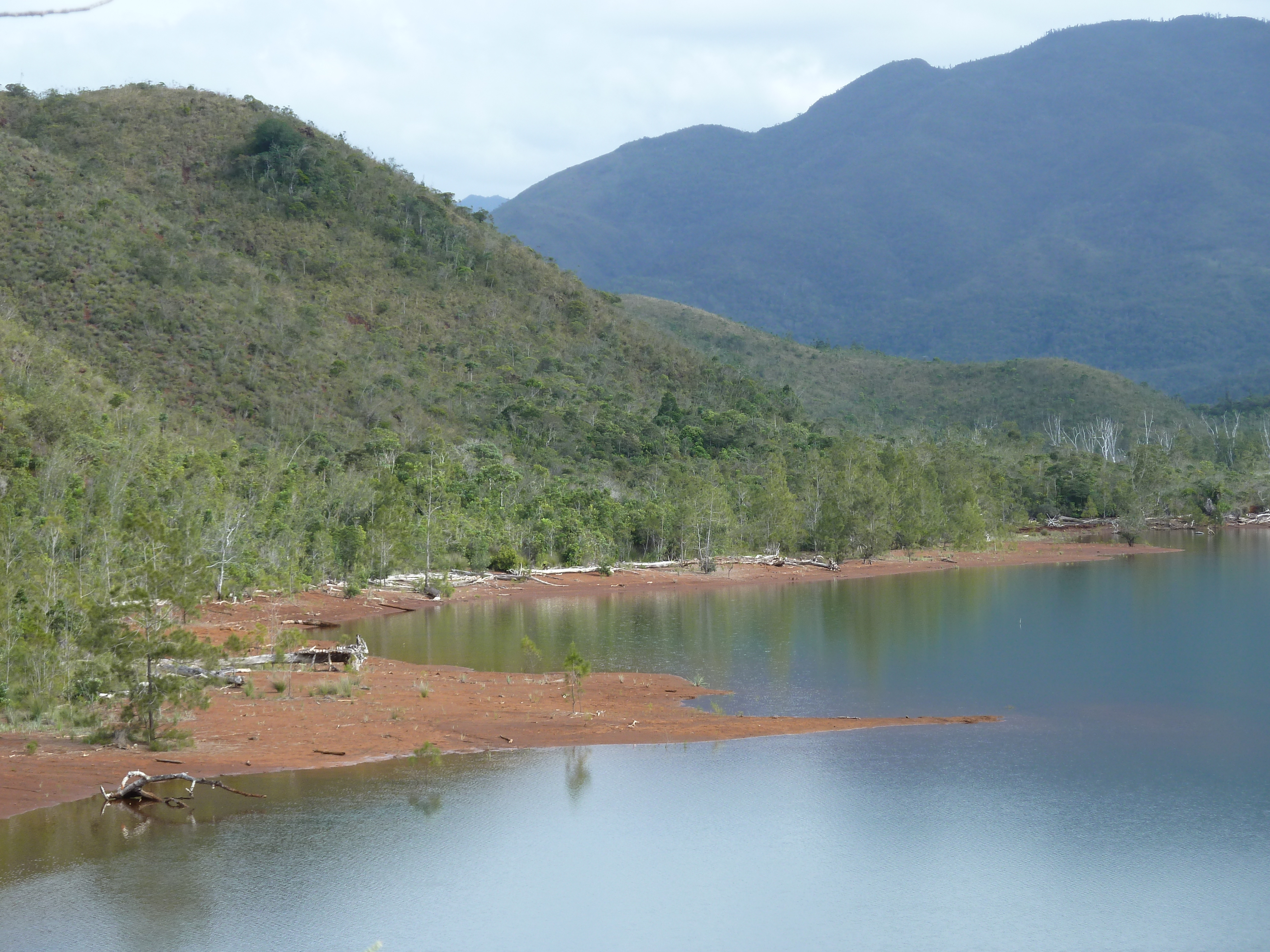 Picture New Caledonia Parc de la Riviere Bleue 2010-05 141 - Tour Parc de la Riviere Bleue