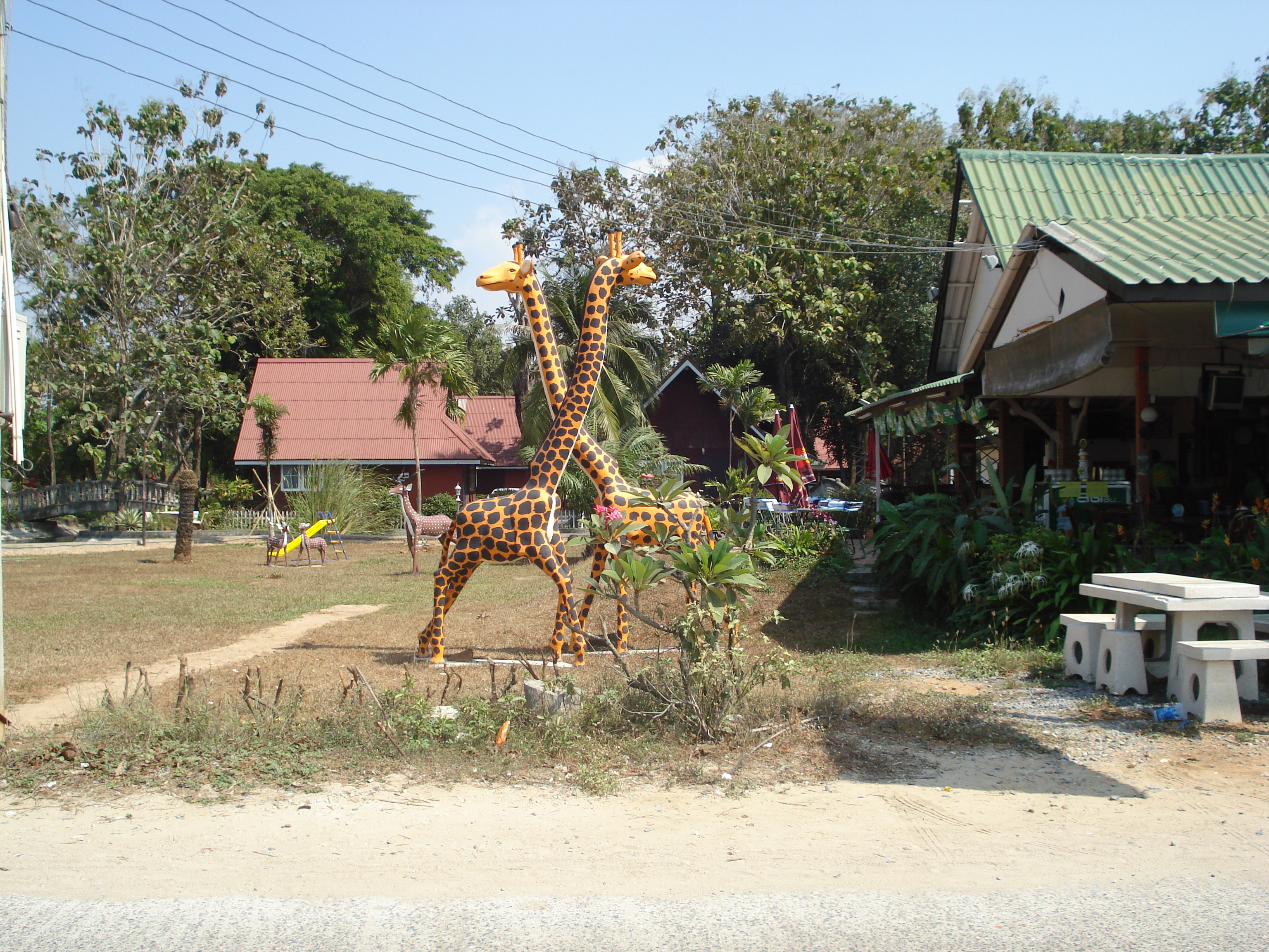 Picture Thailand Jomtien Jomtien Seashore 2008-01 22 - Recreation Jomtien Seashore