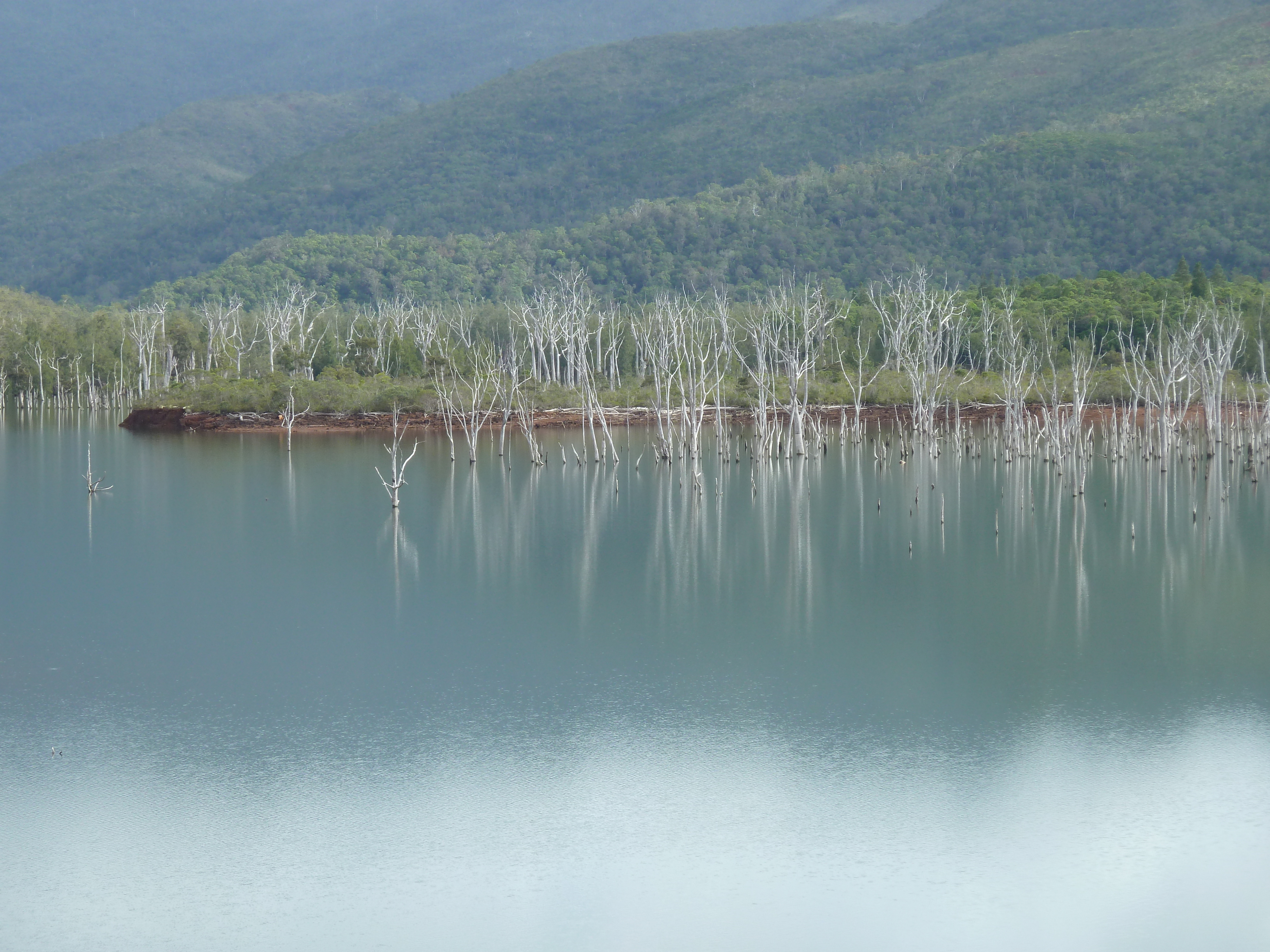 Picture New Caledonia Parc de la Riviere Bleue 2010-05 42 - Around Parc de la Riviere Bleue