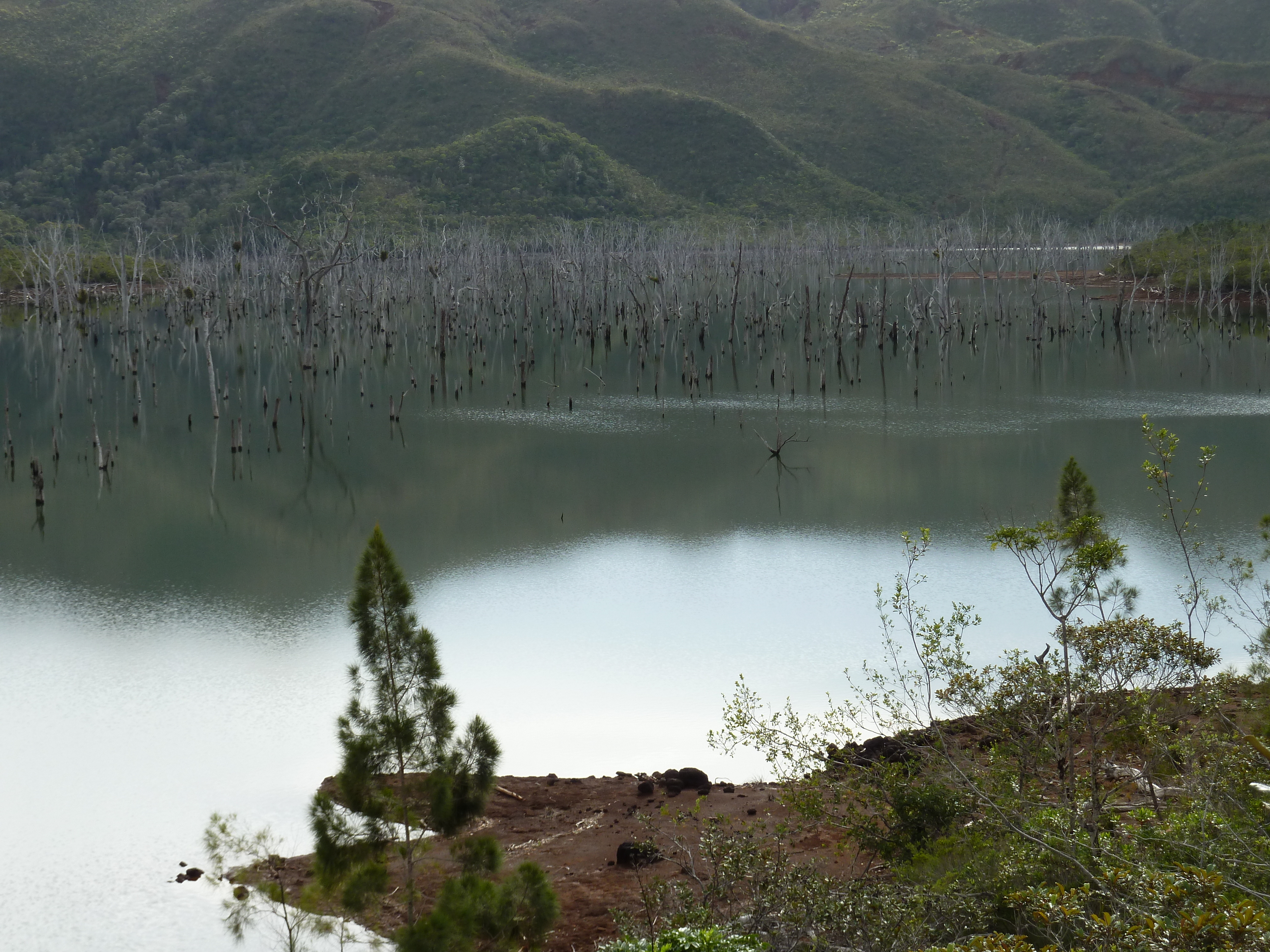 Picture New Caledonia Parc de la Riviere Bleue 2010-05 24 - Tour Parc de la Riviere Bleue