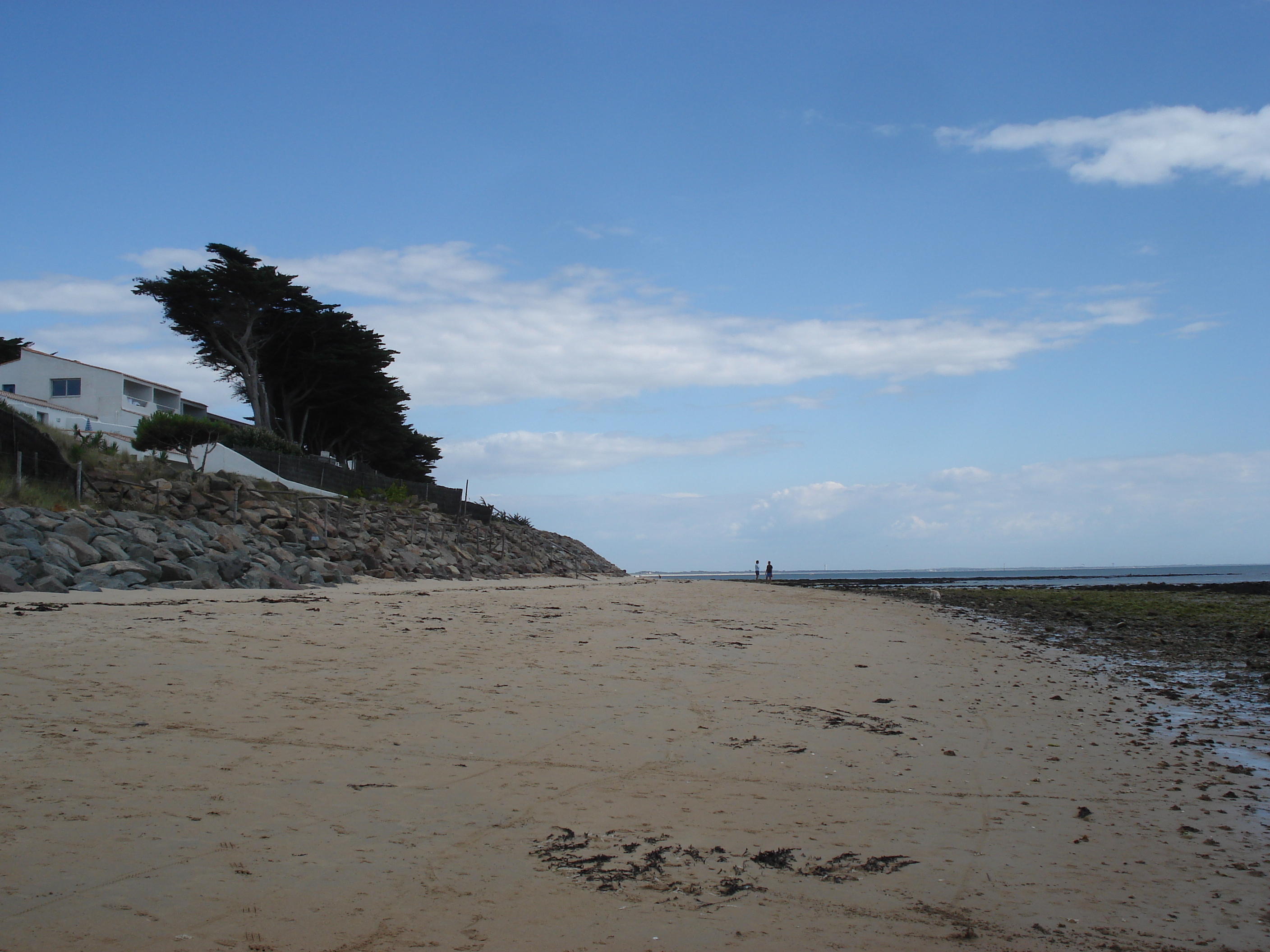 Picture France Noirmoutier 2006-08 89 - Journey Noirmoutier