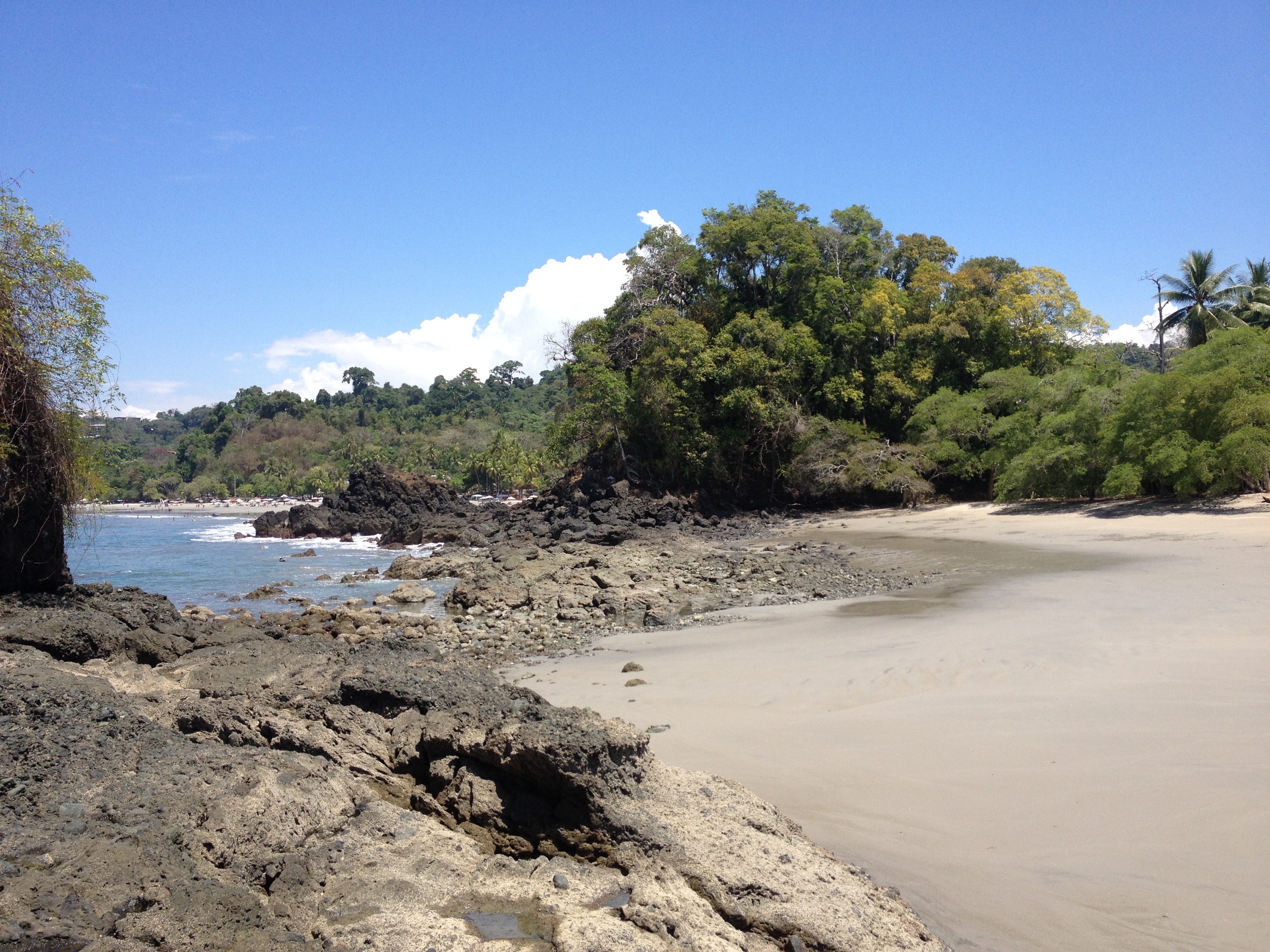 Picture Costa Rica Manuel Antonio 2015-03 261 - Tour Manuel Antonio