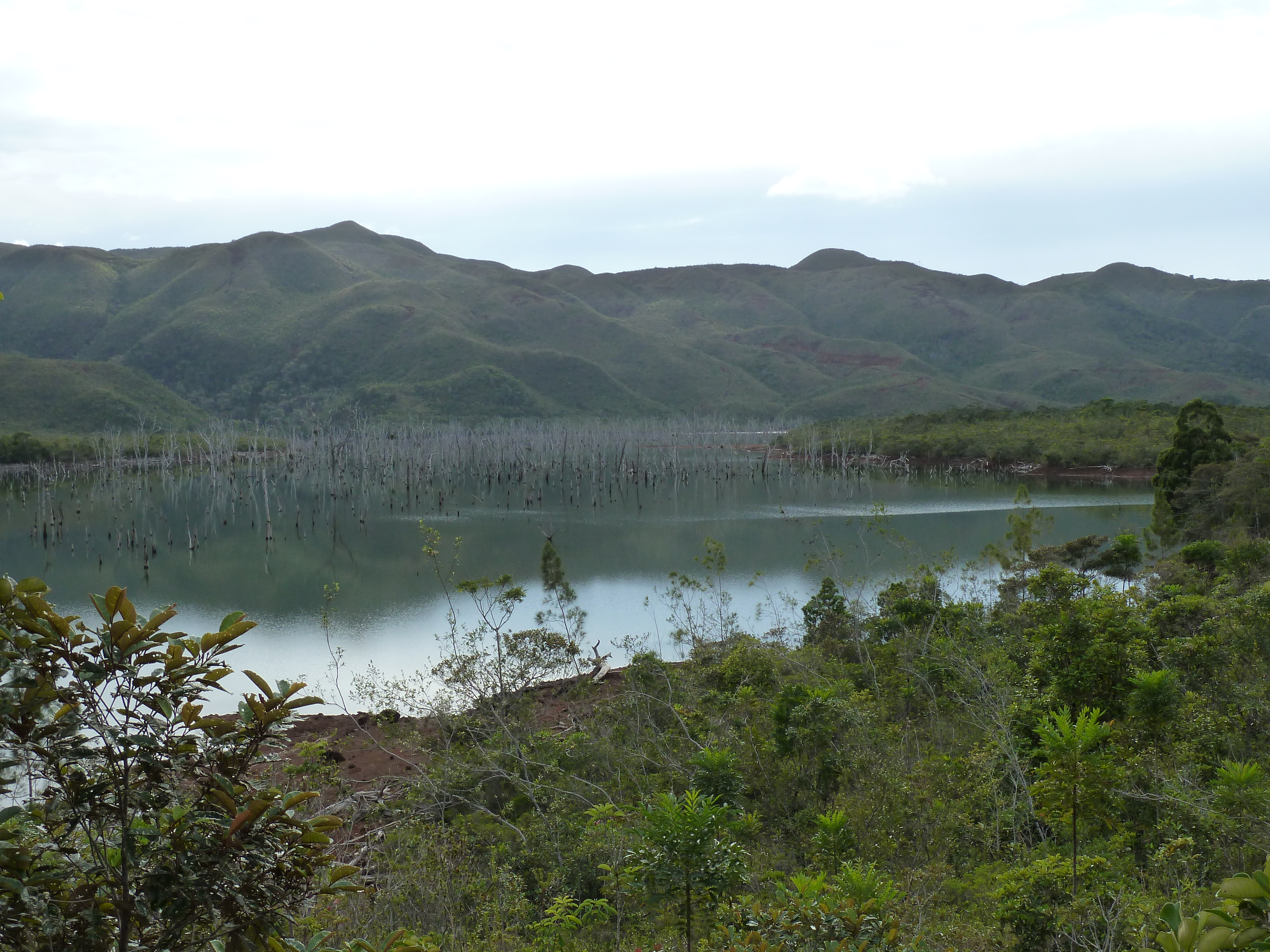 Picture New Caledonia Parc de la Riviere Bleue 2010-05 35 - Center Parc de la Riviere Bleue