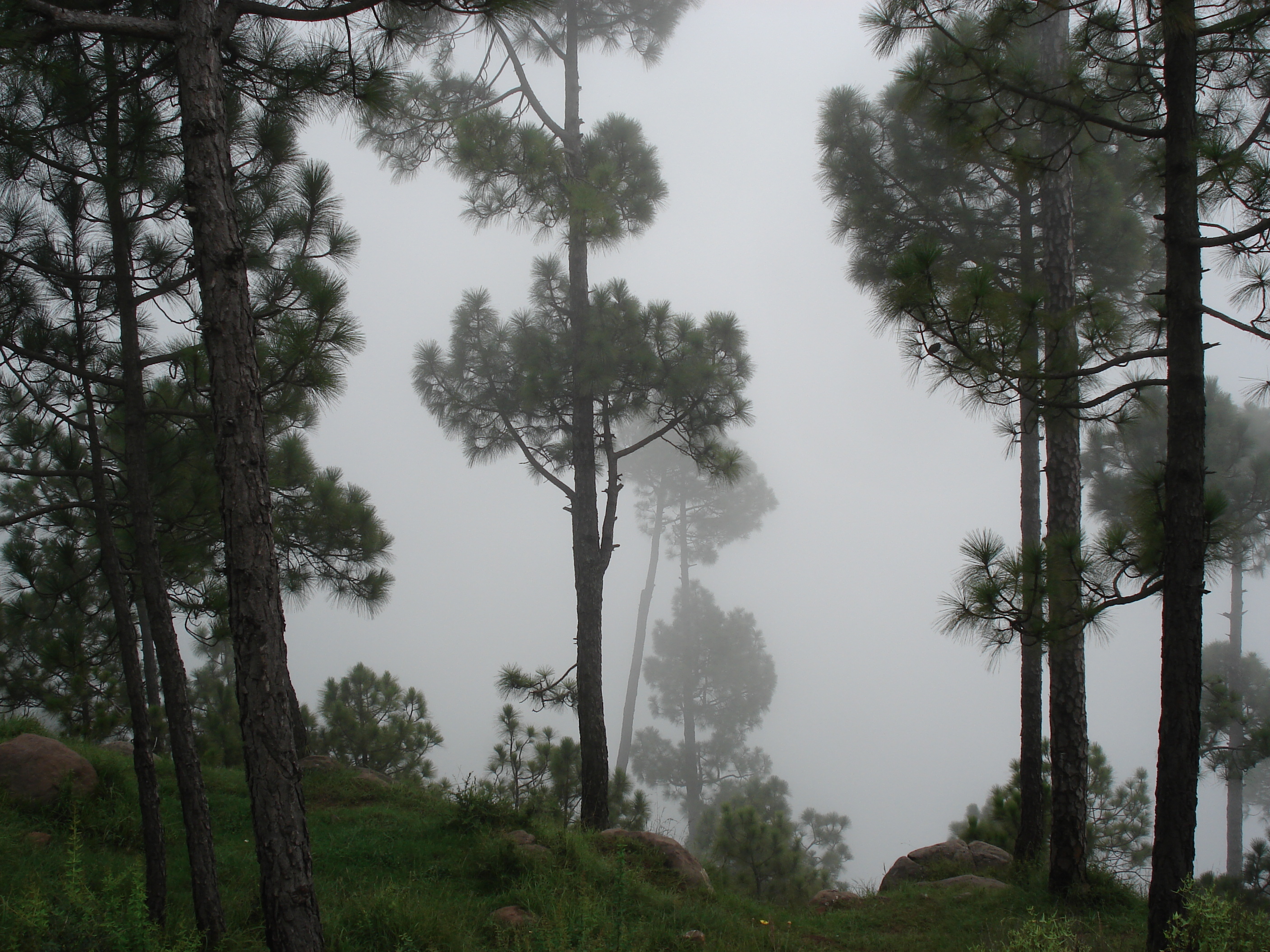 Picture Pakistan Murree 2006-08 5 - Tours Murree