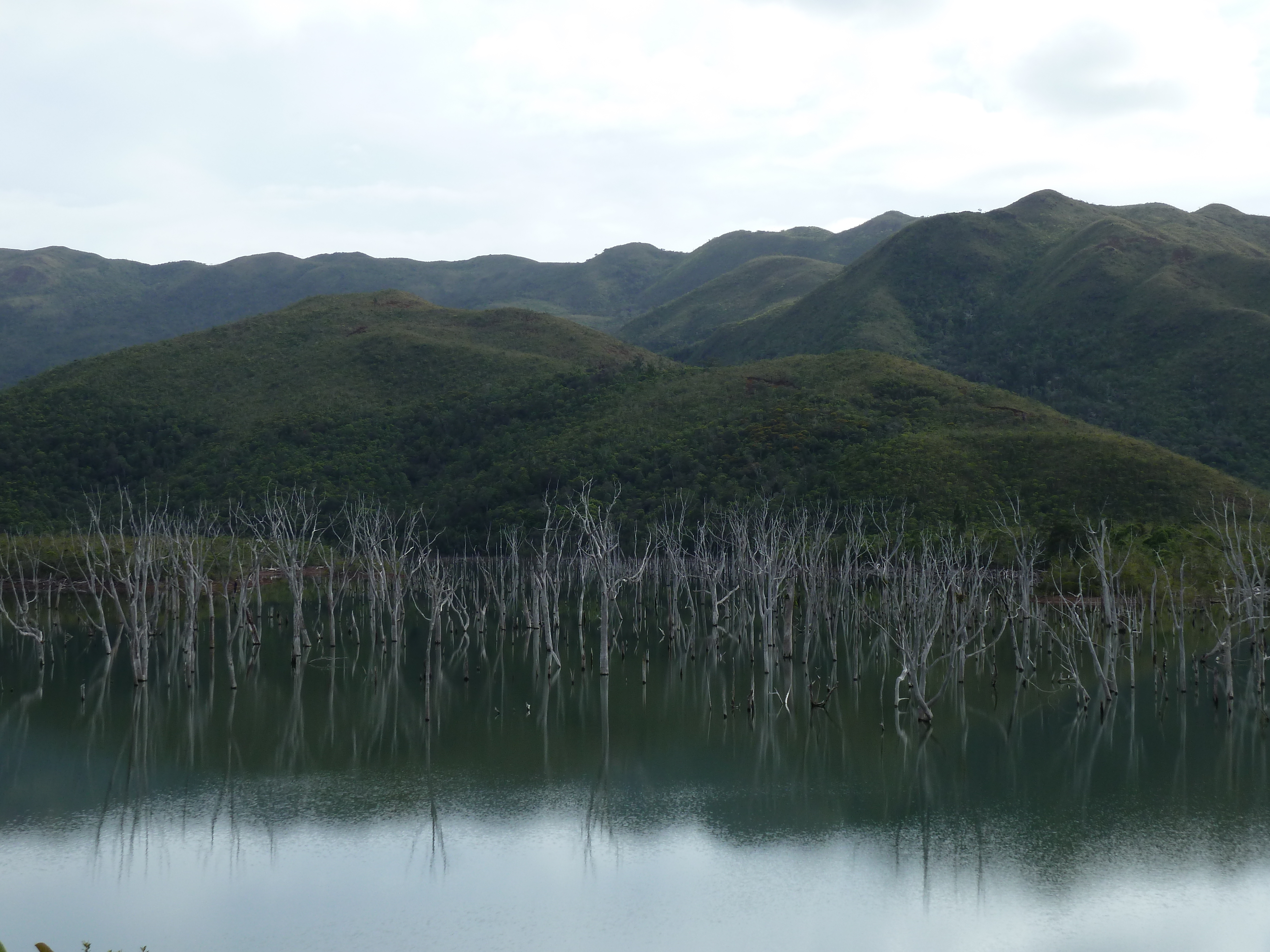 Picture New Caledonia Parc de la Riviere Bleue 2010-05 54 - Around Parc de la Riviere Bleue