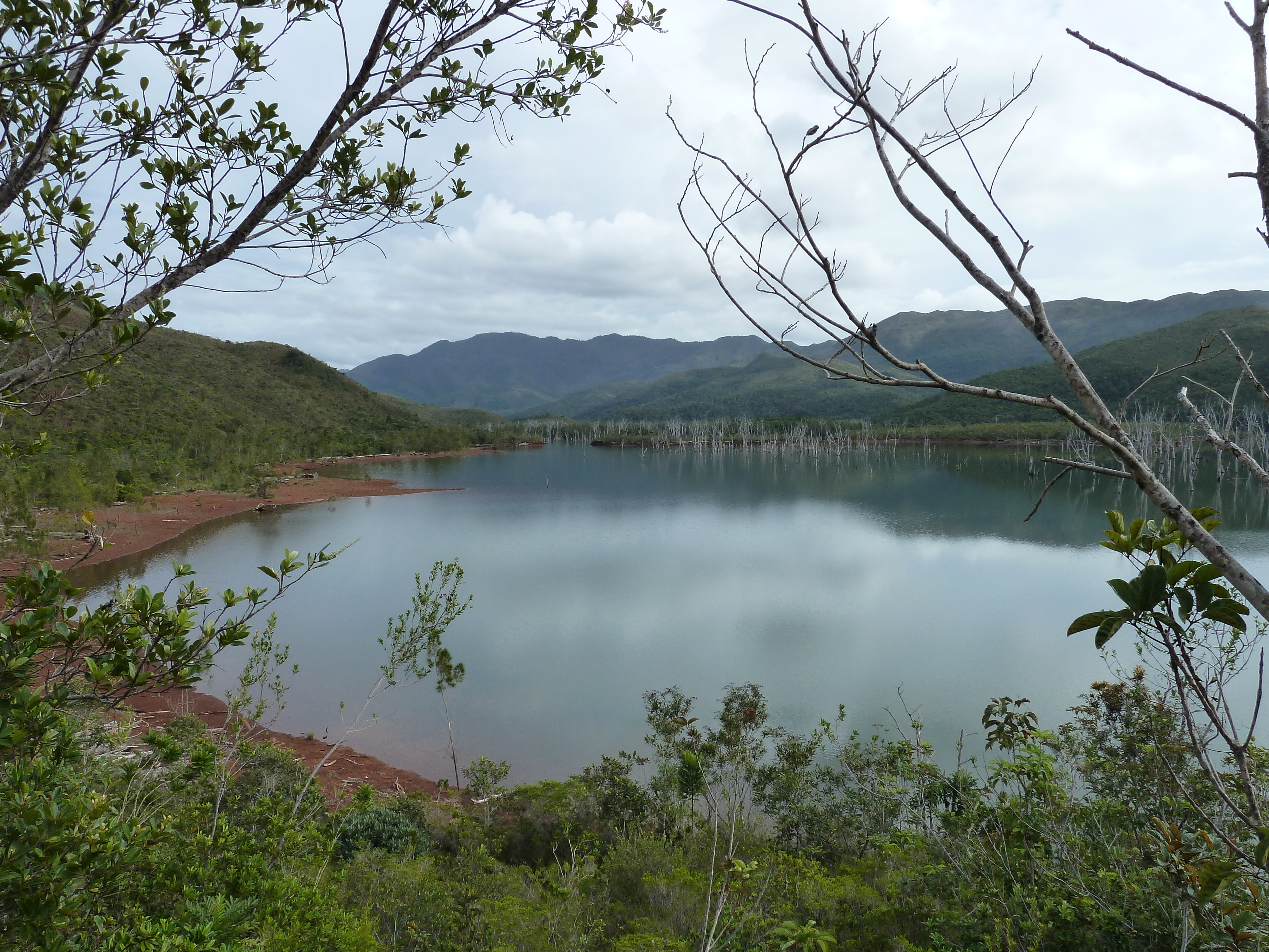 Picture New Caledonia Parc de la Riviere Bleue 2010-05 61 - Center Parc de la Riviere Bleue