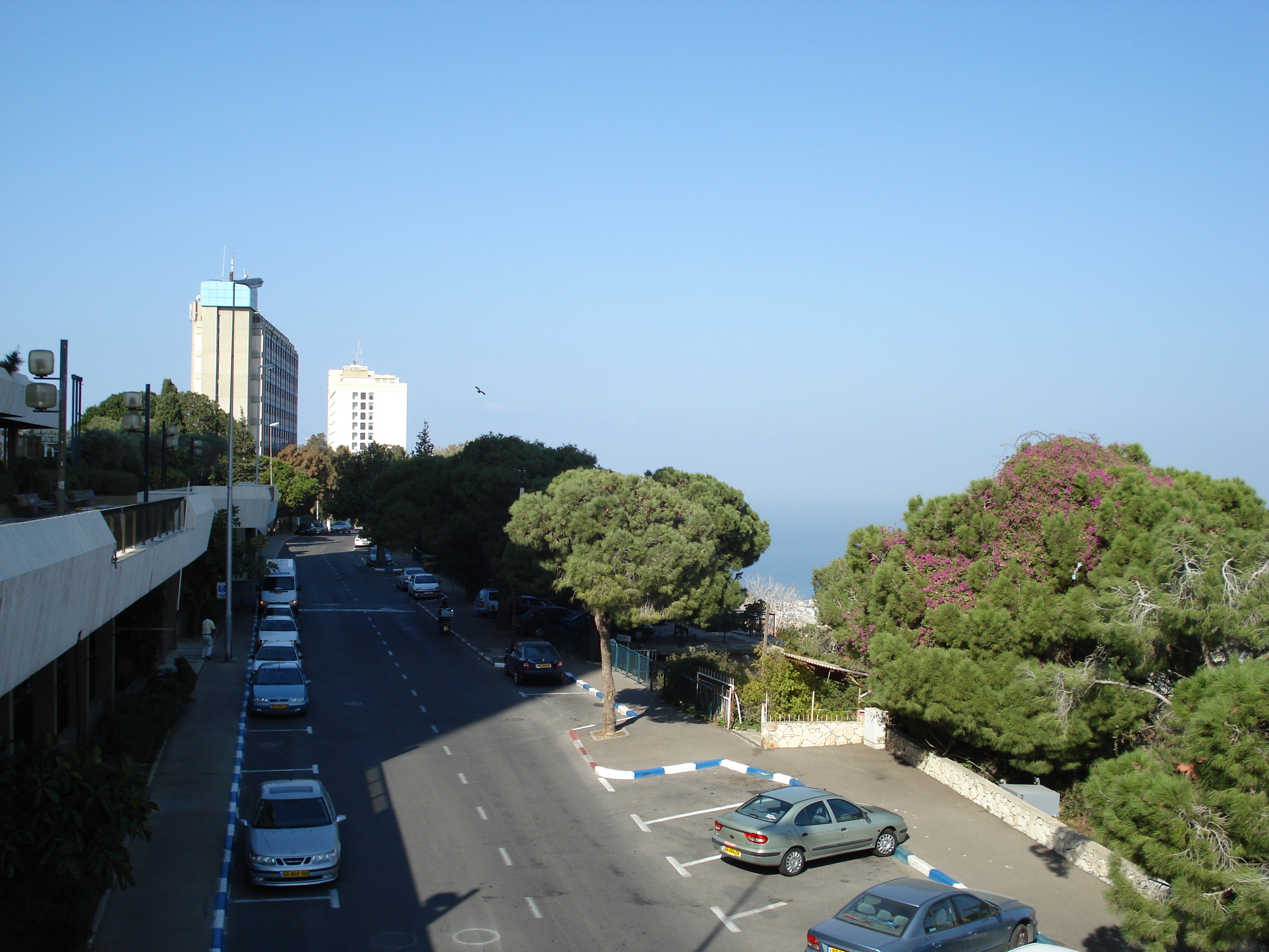 Picture Israel Haifa Carmel 2006-12 49 - History Carmel