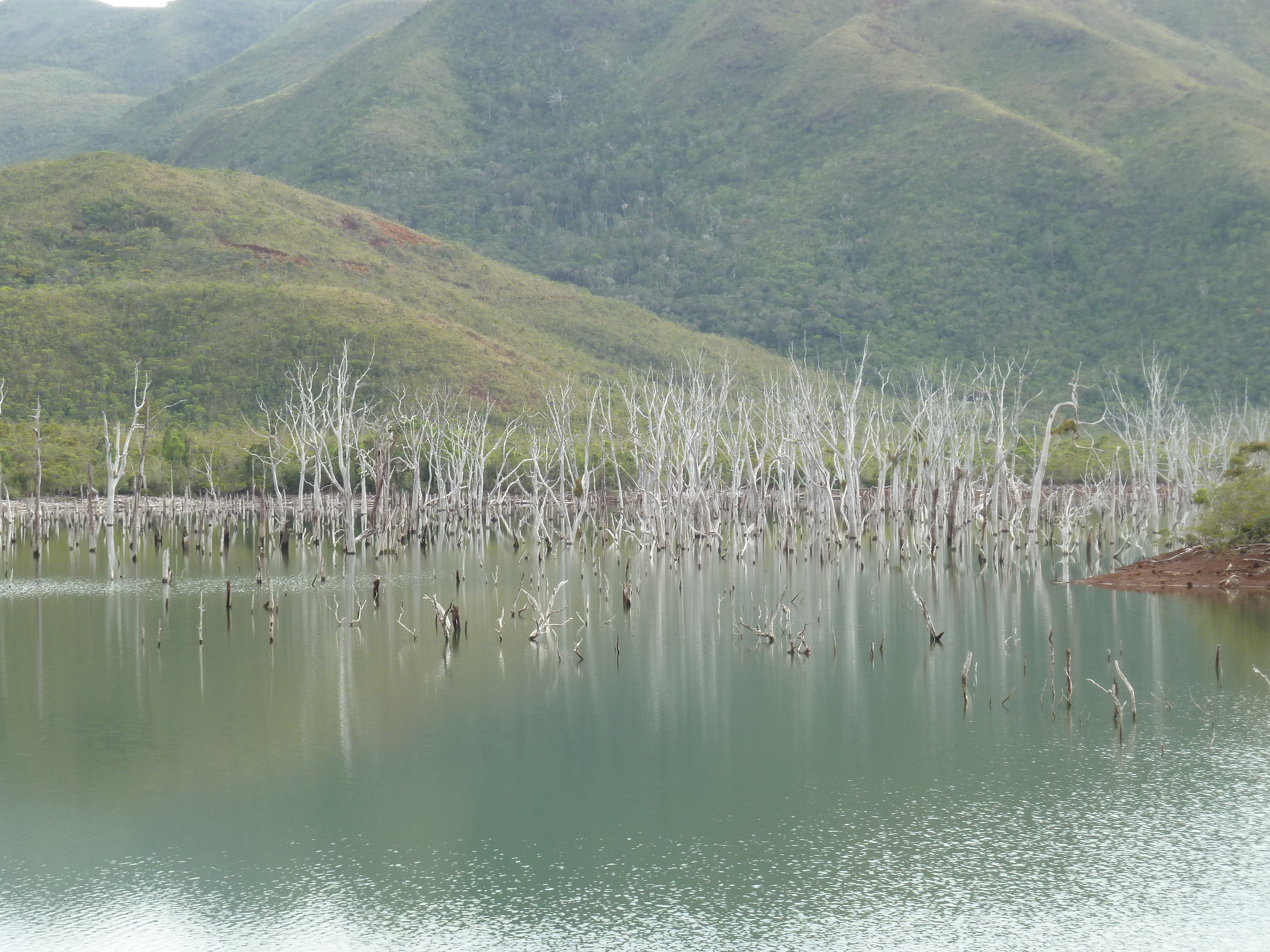 Picture New Caledonia Parc de la Riviere Bleue 2010-05 74 - Recreation Parc de la Riviere Bleue