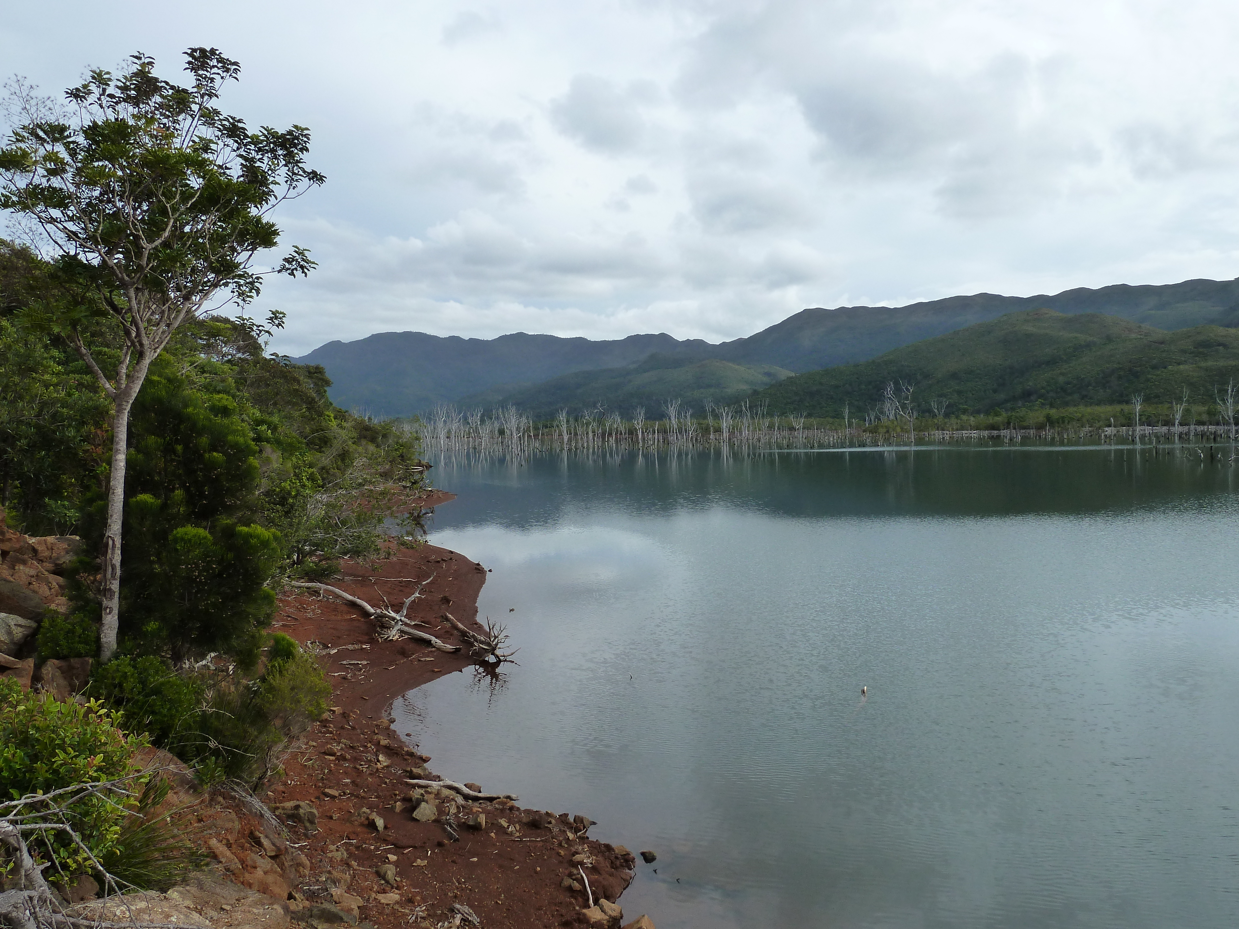 Picture New Caledonia Parc de la Riviere Bleue 2010-05 69 - Center Parc de la Riviere Bleue