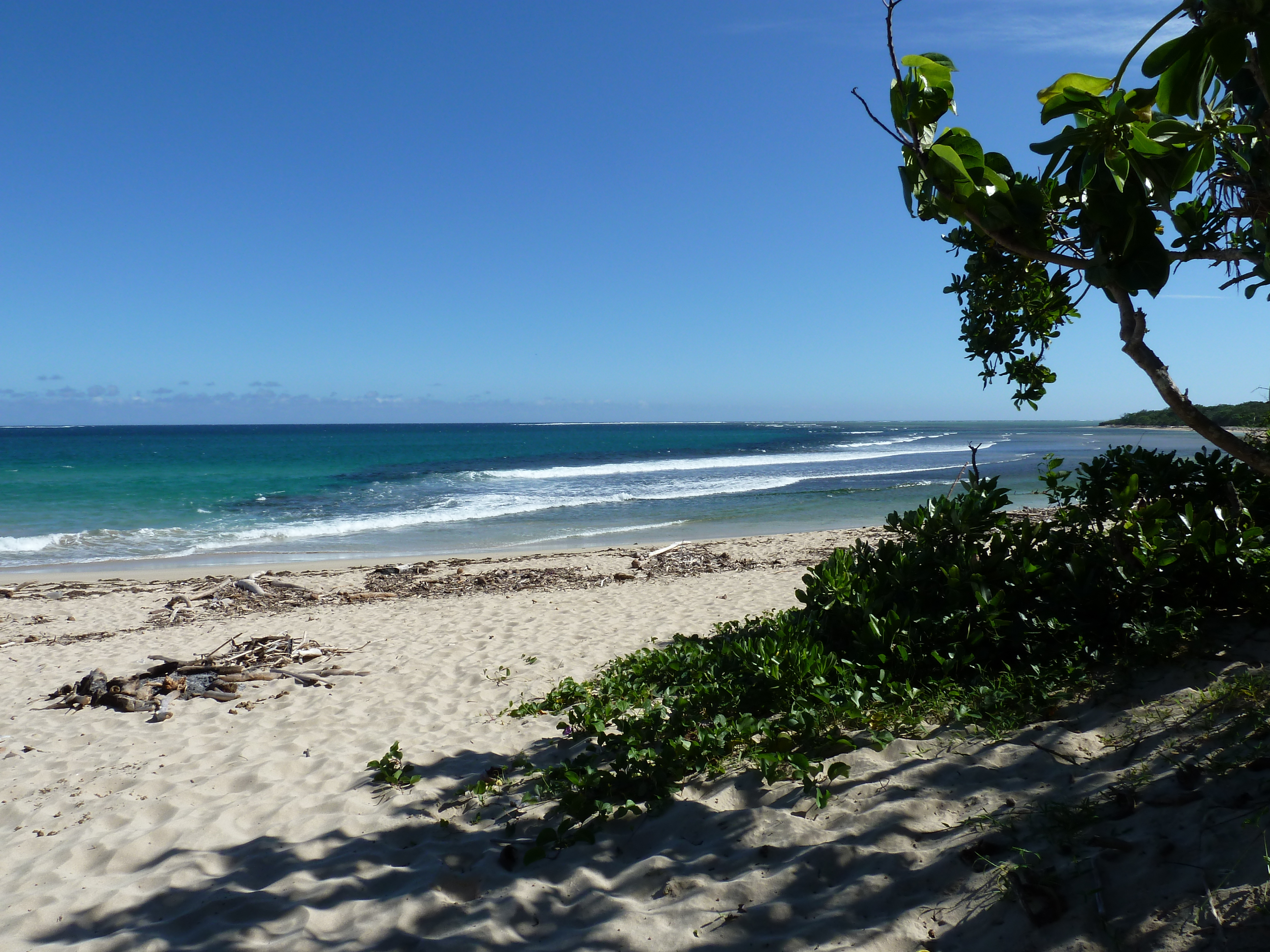 Picture Fiji Natadola beach 2010-05 52 - Center Natadola beach