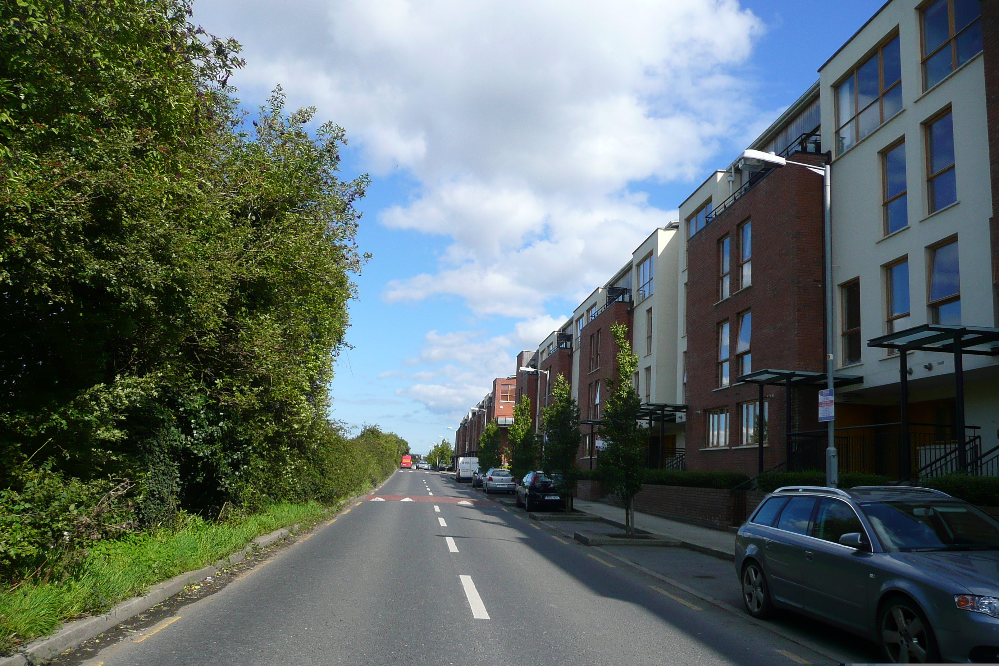 Picture Ireland Dublin River road 2008-09 20 - Recreation River road