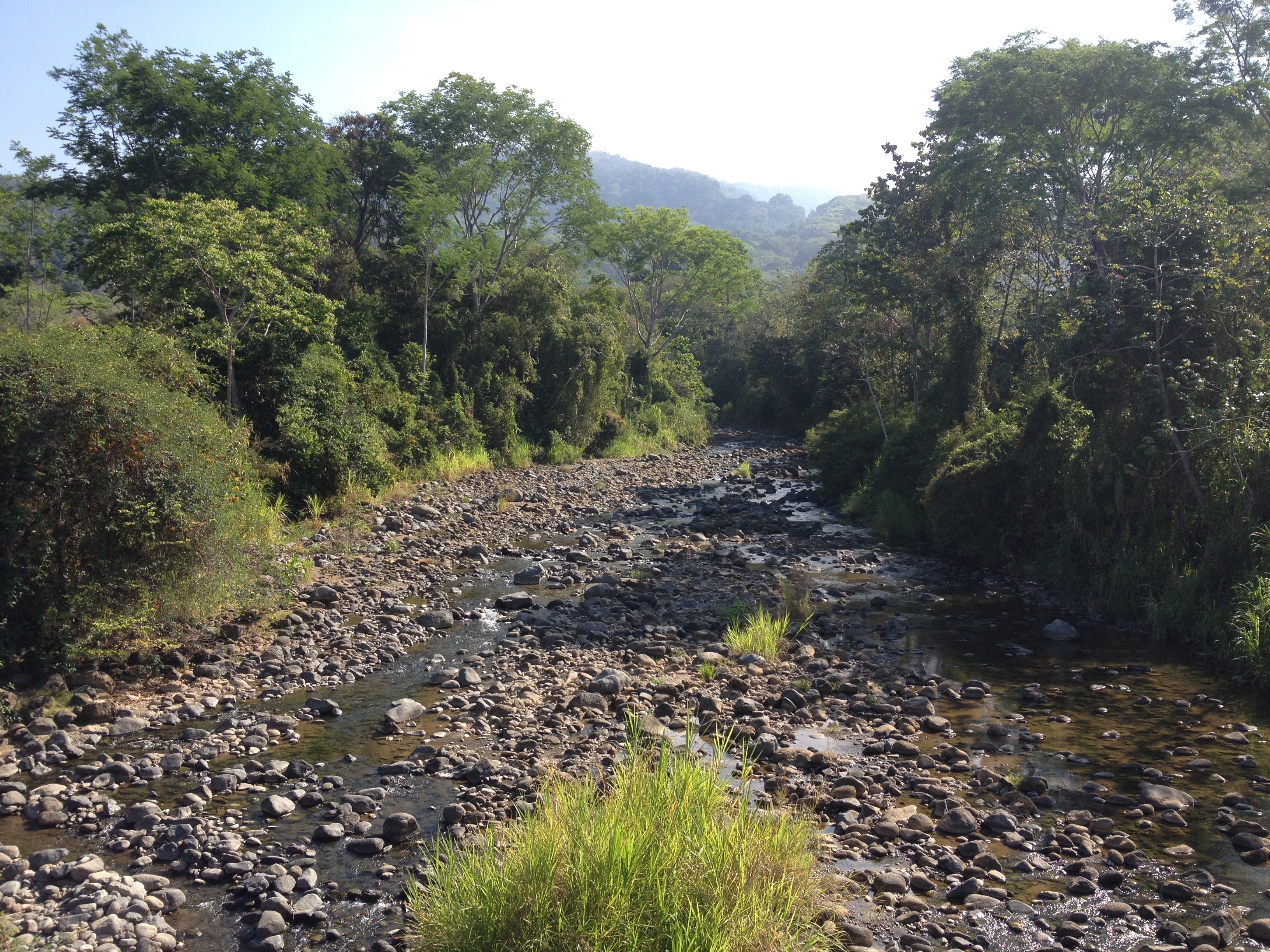 Picture Costa Rica Uvita 2015-03 90 - Discovery Uvita