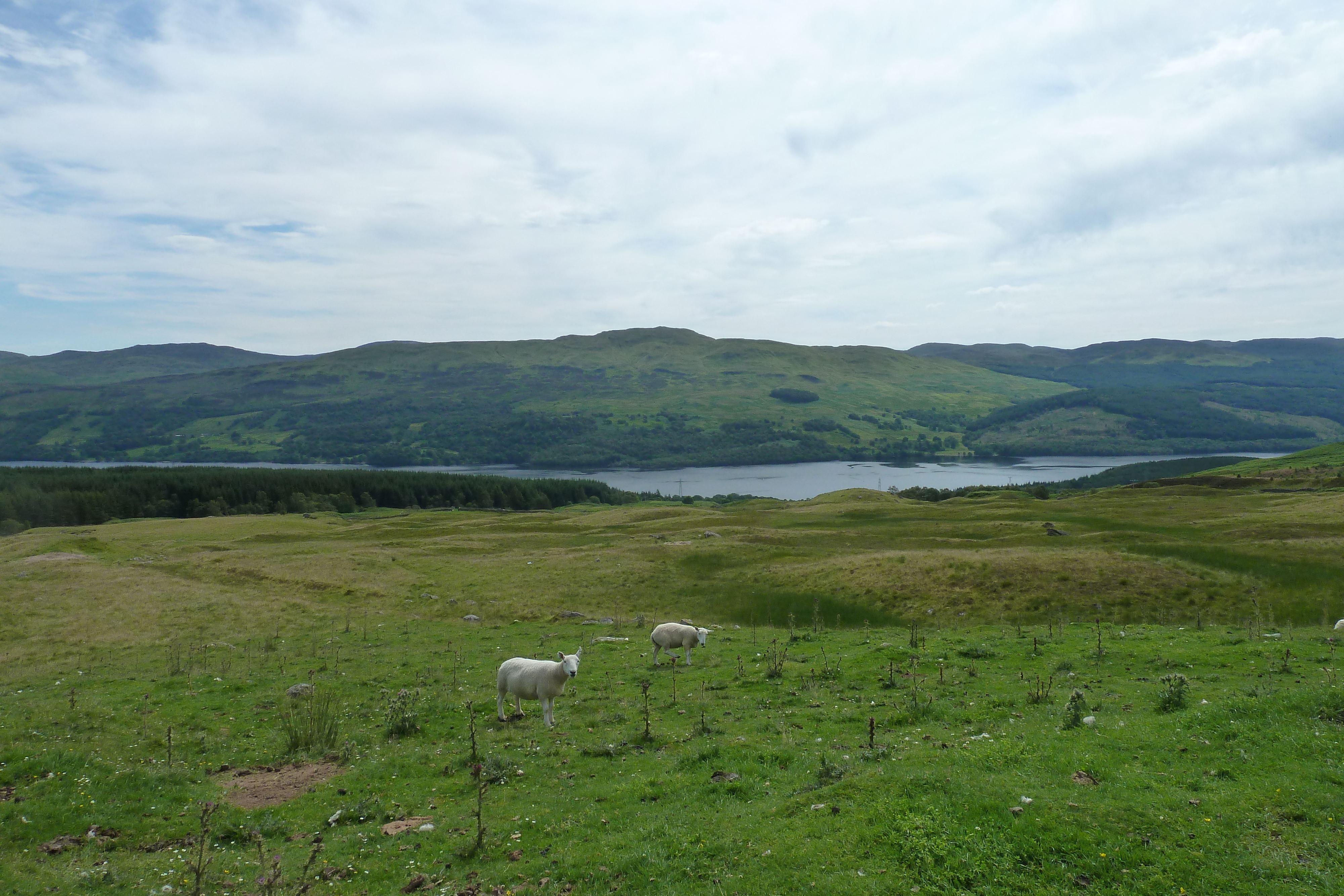 Picture United Kingdom The Trossachs 2011-07 76 - Tour The Trossachs