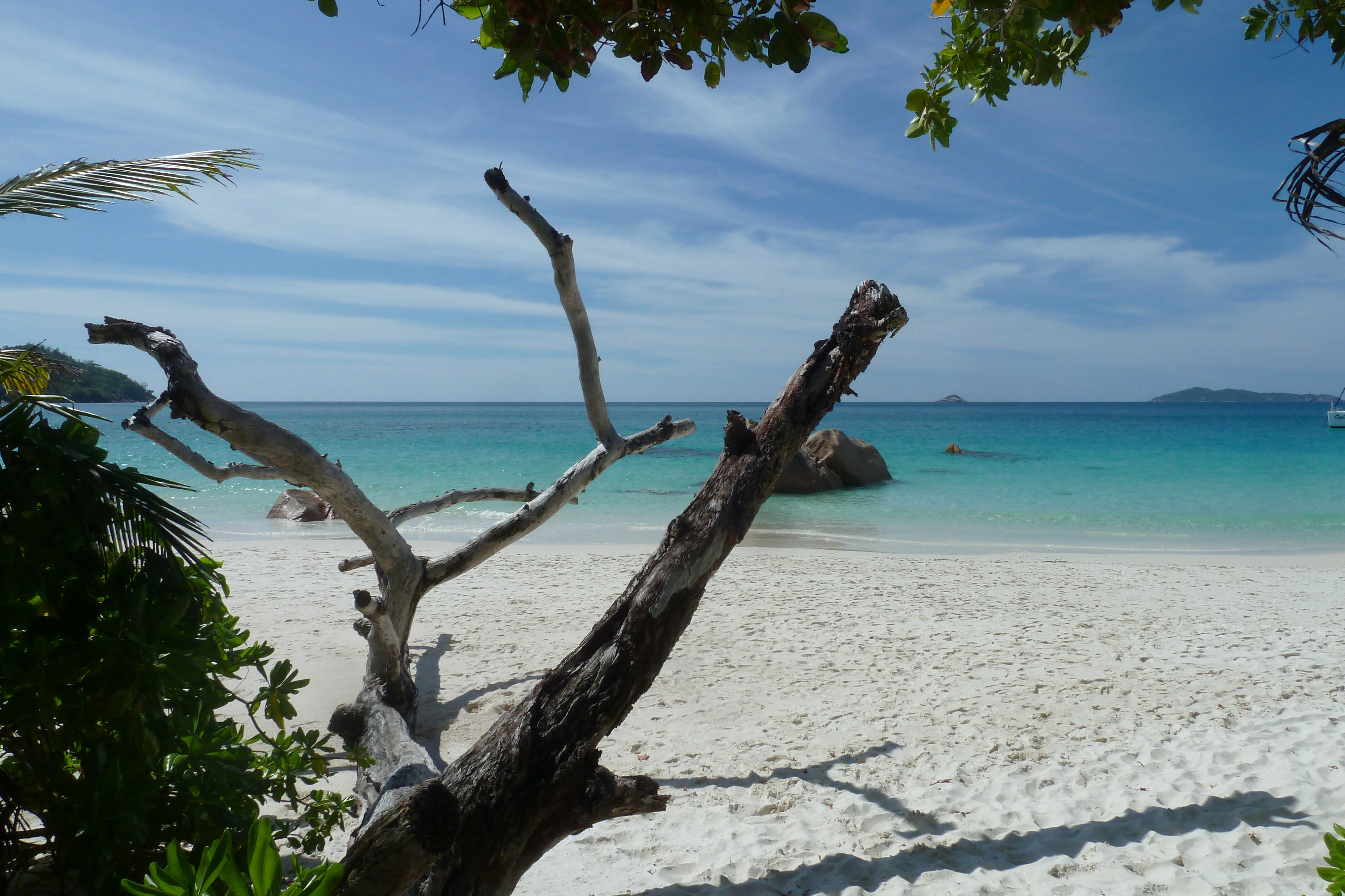 Picture Seychelles Anse Lazio 2011-10 164 - Discovery Anse Lazio