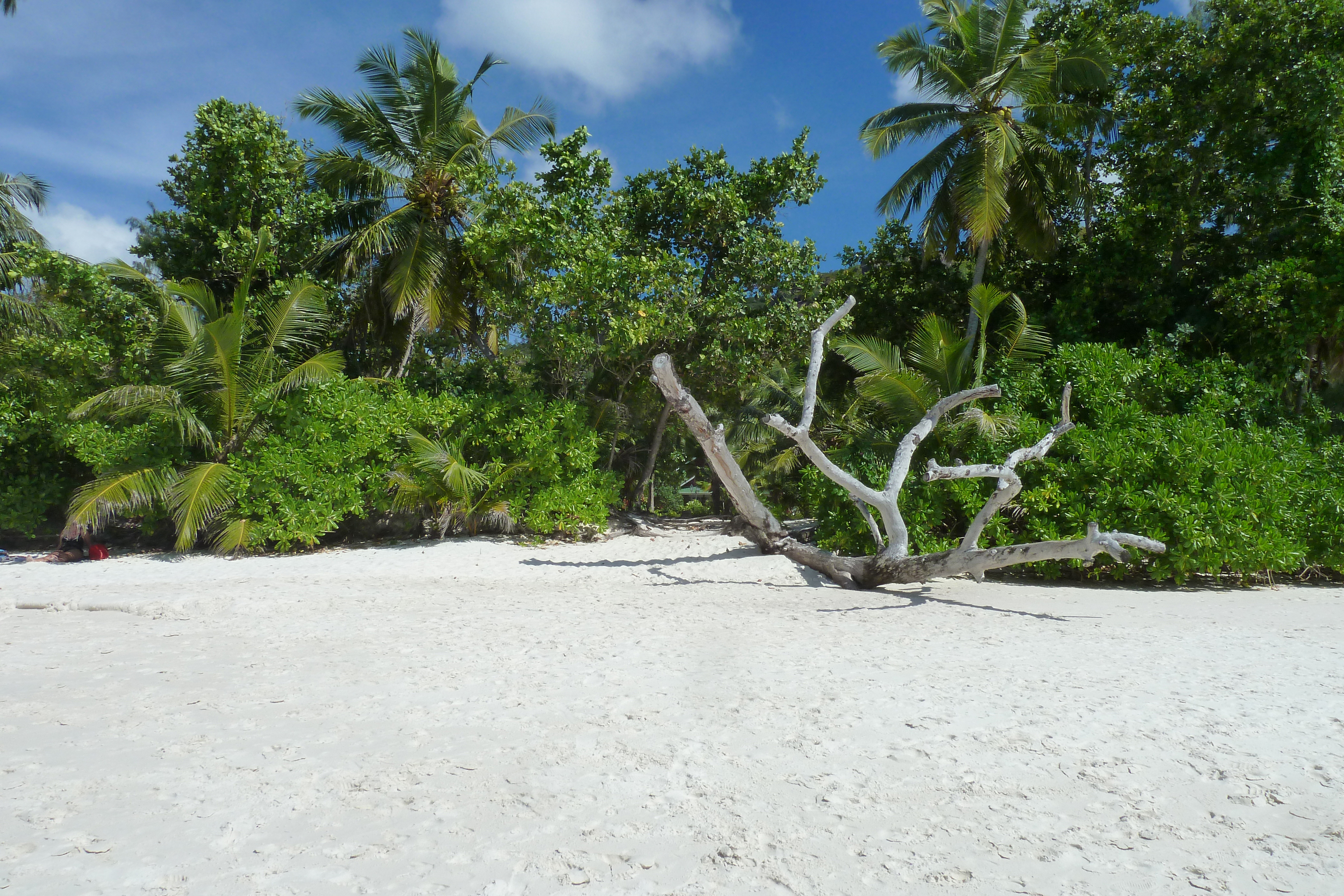 Picture Seychelles Anse Lazio 2011-10 171 - Tours Anse Lazio