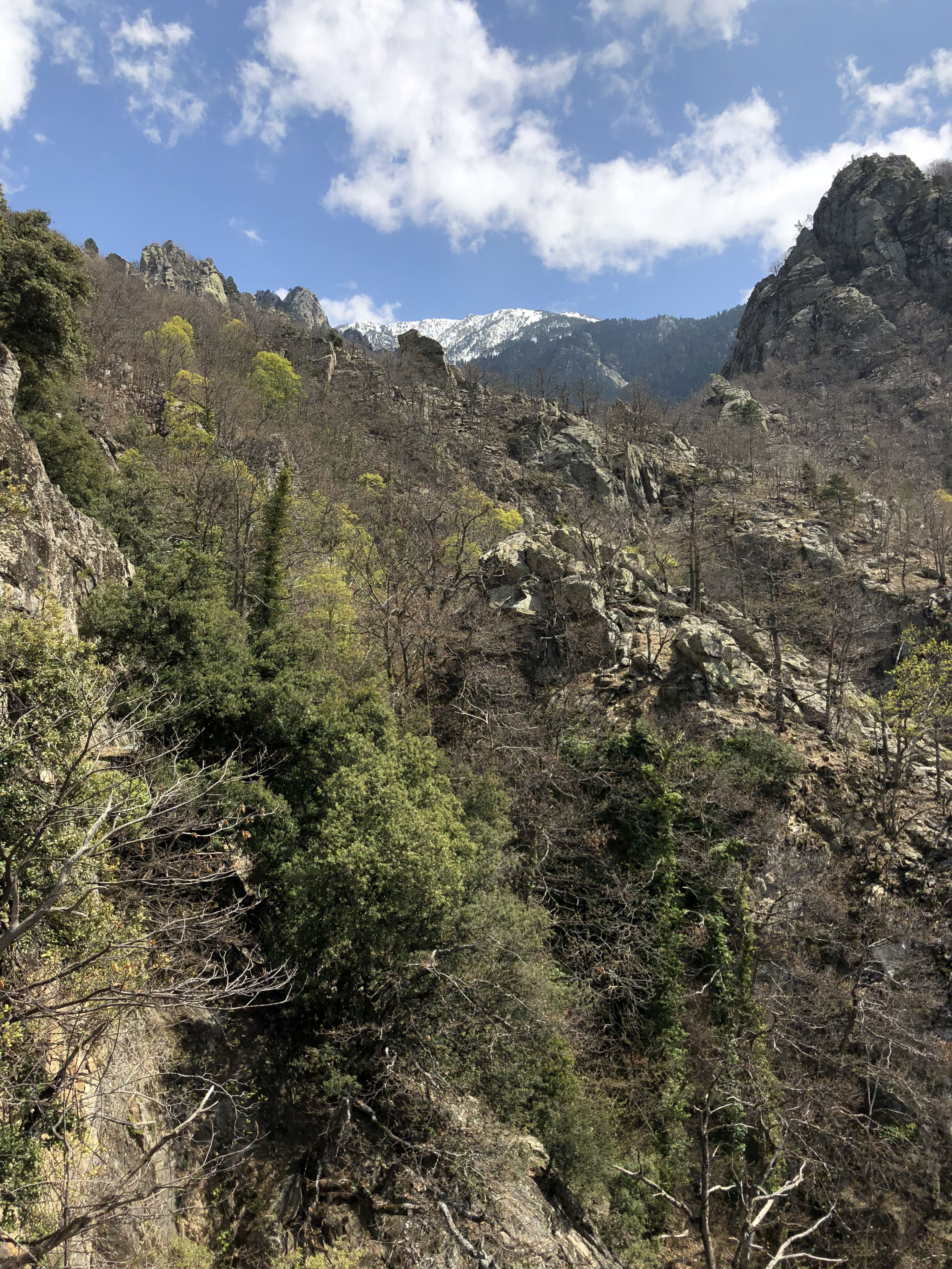 Picture France Abbaye Saint Martin du Canigou 2018-04 116 - Discovery Abbaye Saint Martin du Canigou