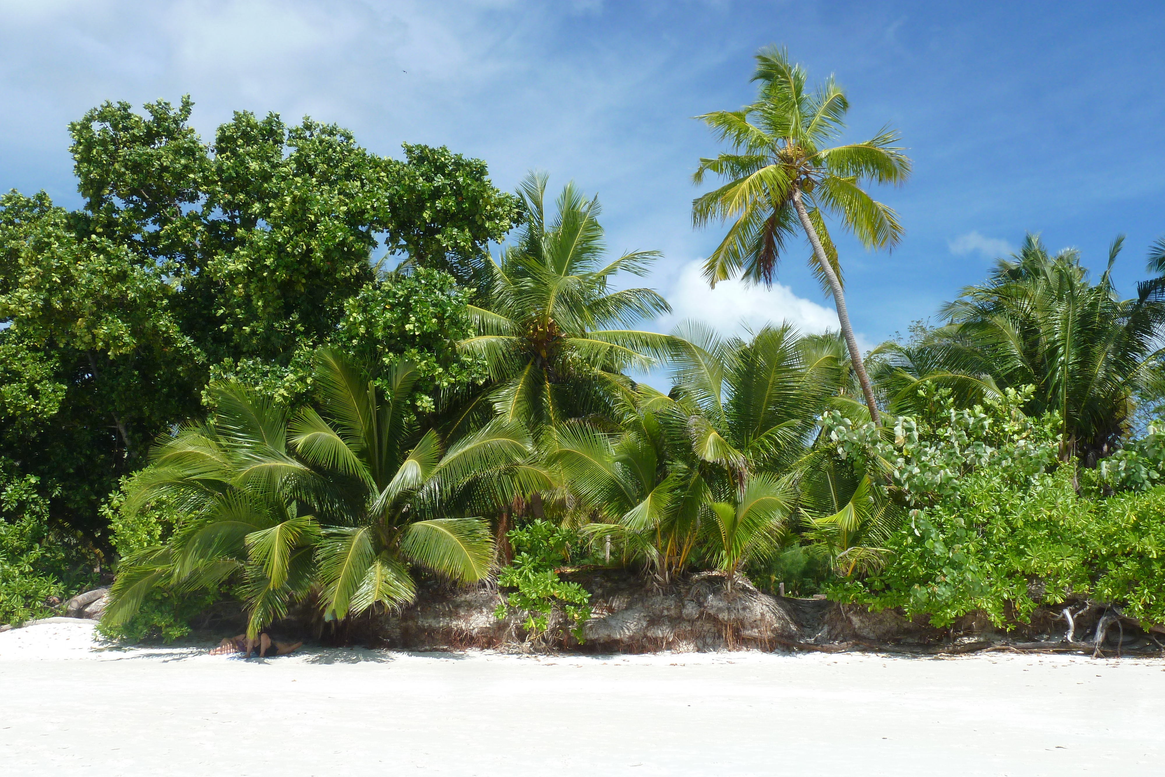 Picture Seychelles 2011-10 155 - Tours Seychelles