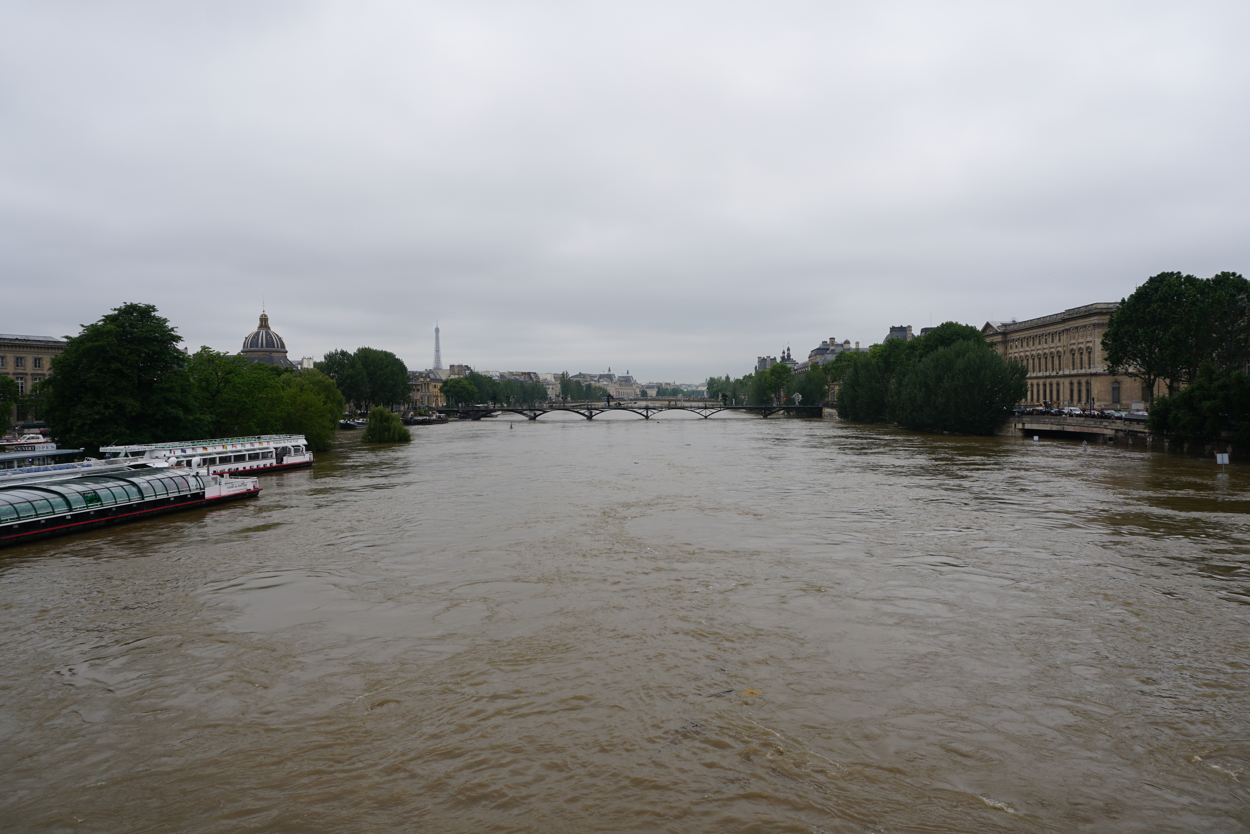 Picture France Paris Seine river 2016-06 36 - Recreation Seine river