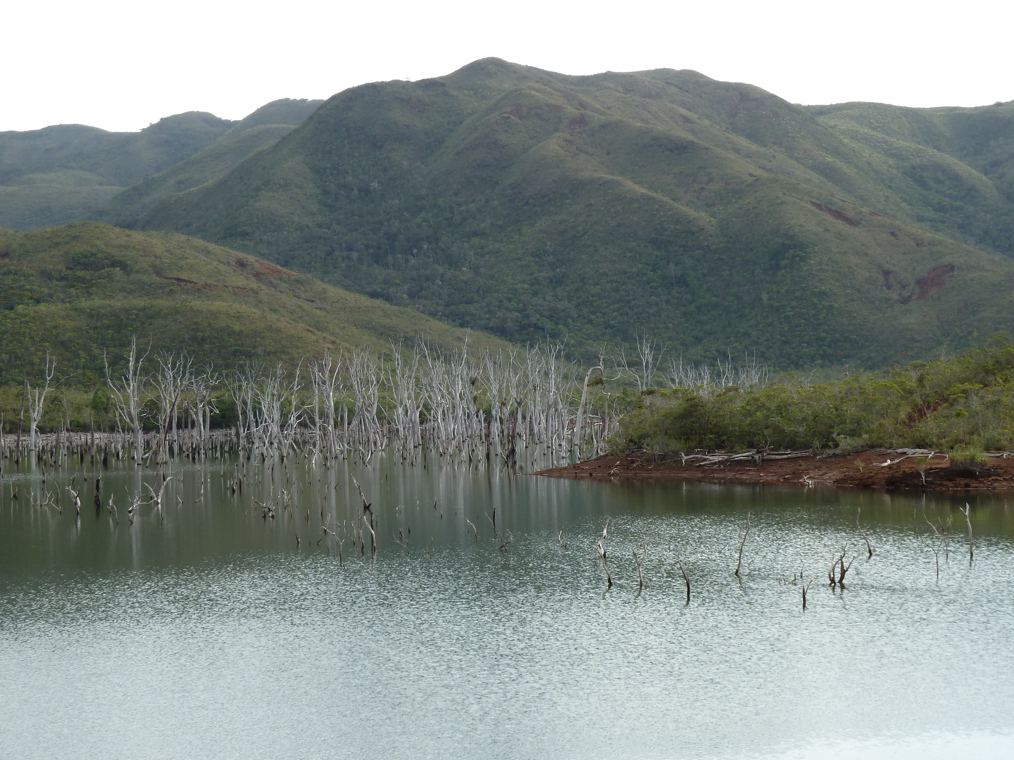 Picture New Caledonia Parc de la Riviere Bleue 2010-05 91 - History Parc de la Riviere Bleue