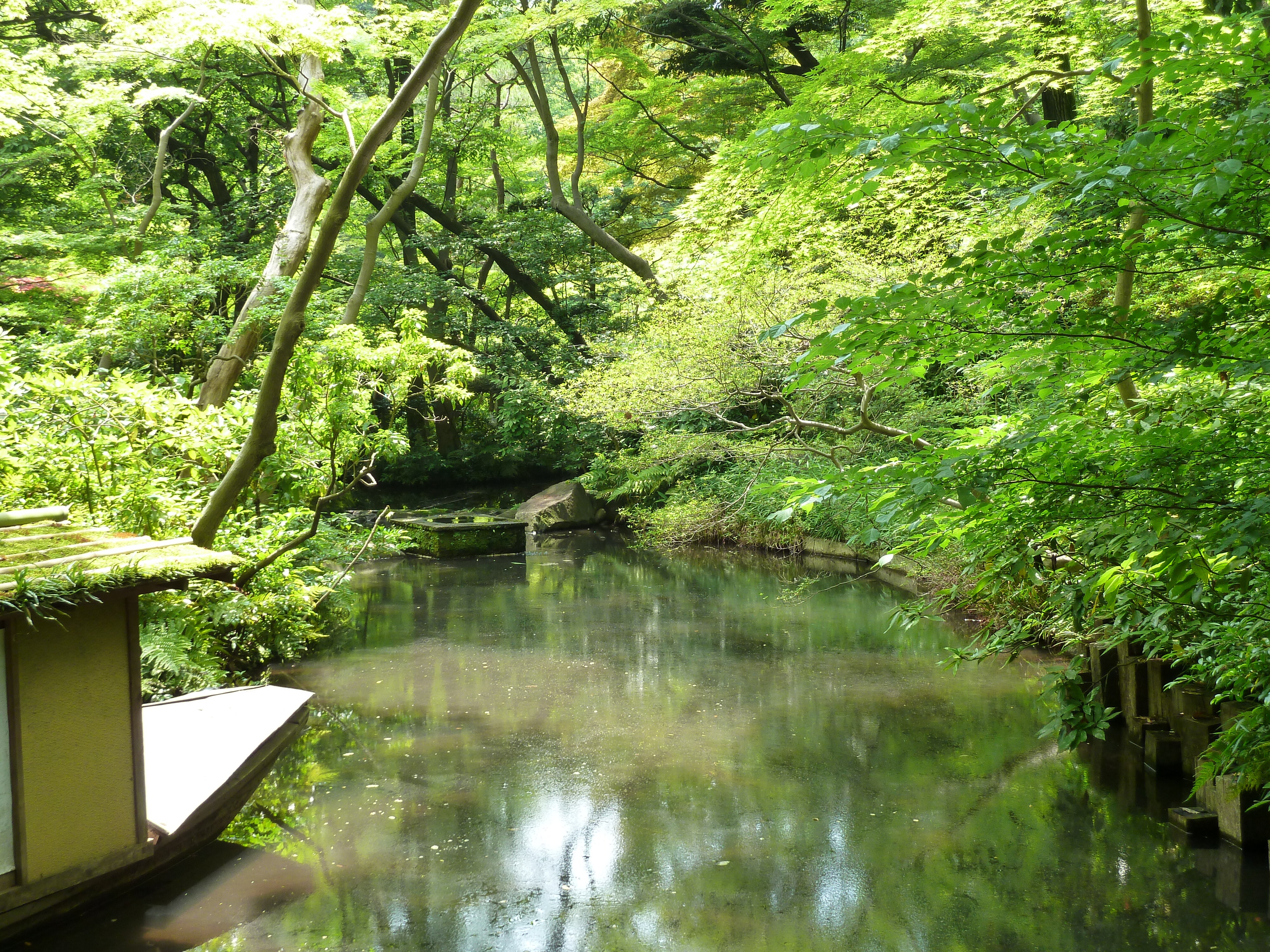 Picture Japan Tokyo Nezu Museum 2010-06 85 - Recreation Nezu Museum