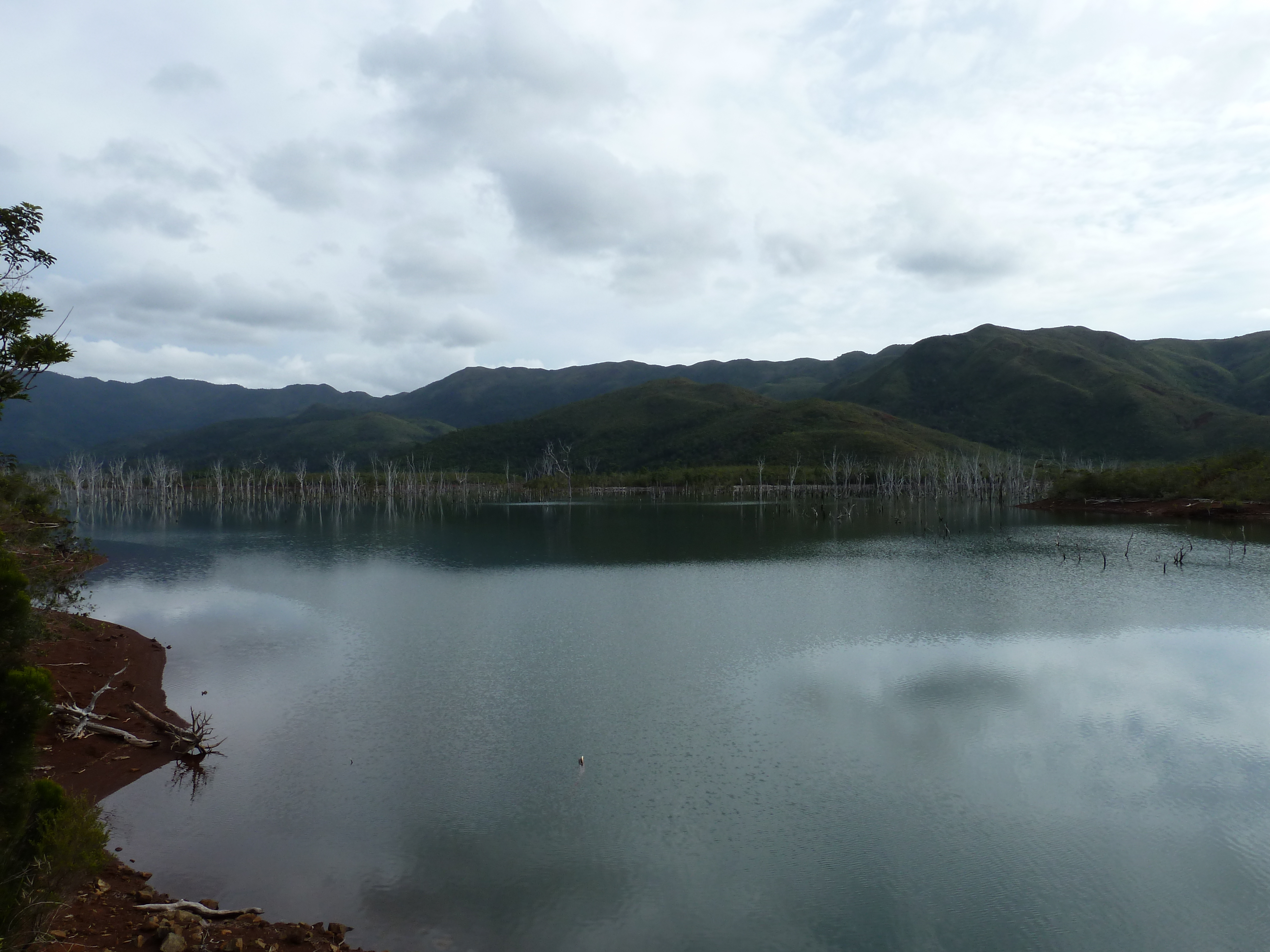 Picture New Caledonia Parc de la Riviere Bleue 2010-05 55 - Tour Parc de la Riviere Bleue