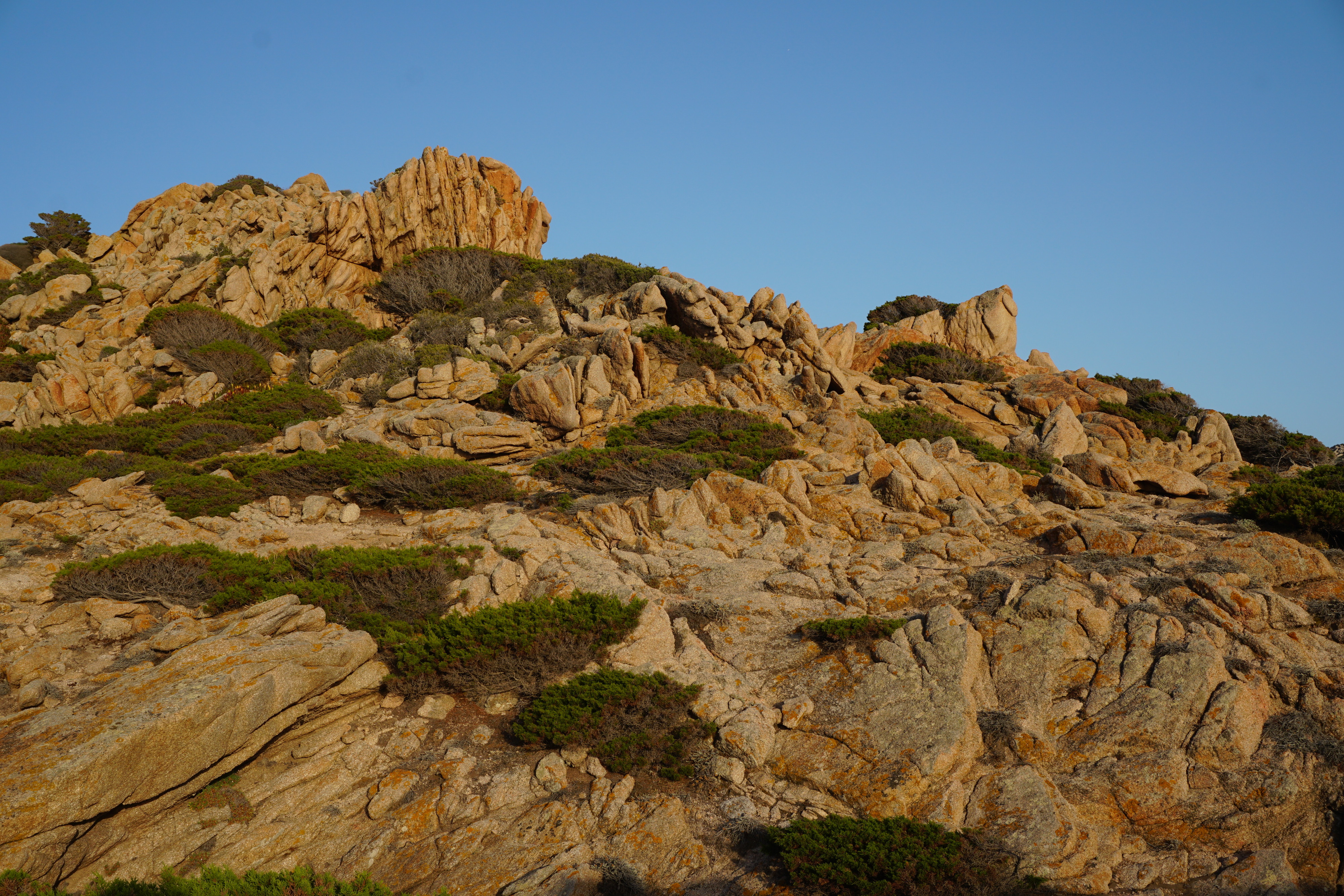 Picture France Corsica Tonnara Beach 2017-07 8 - Tour Tonnara Beach