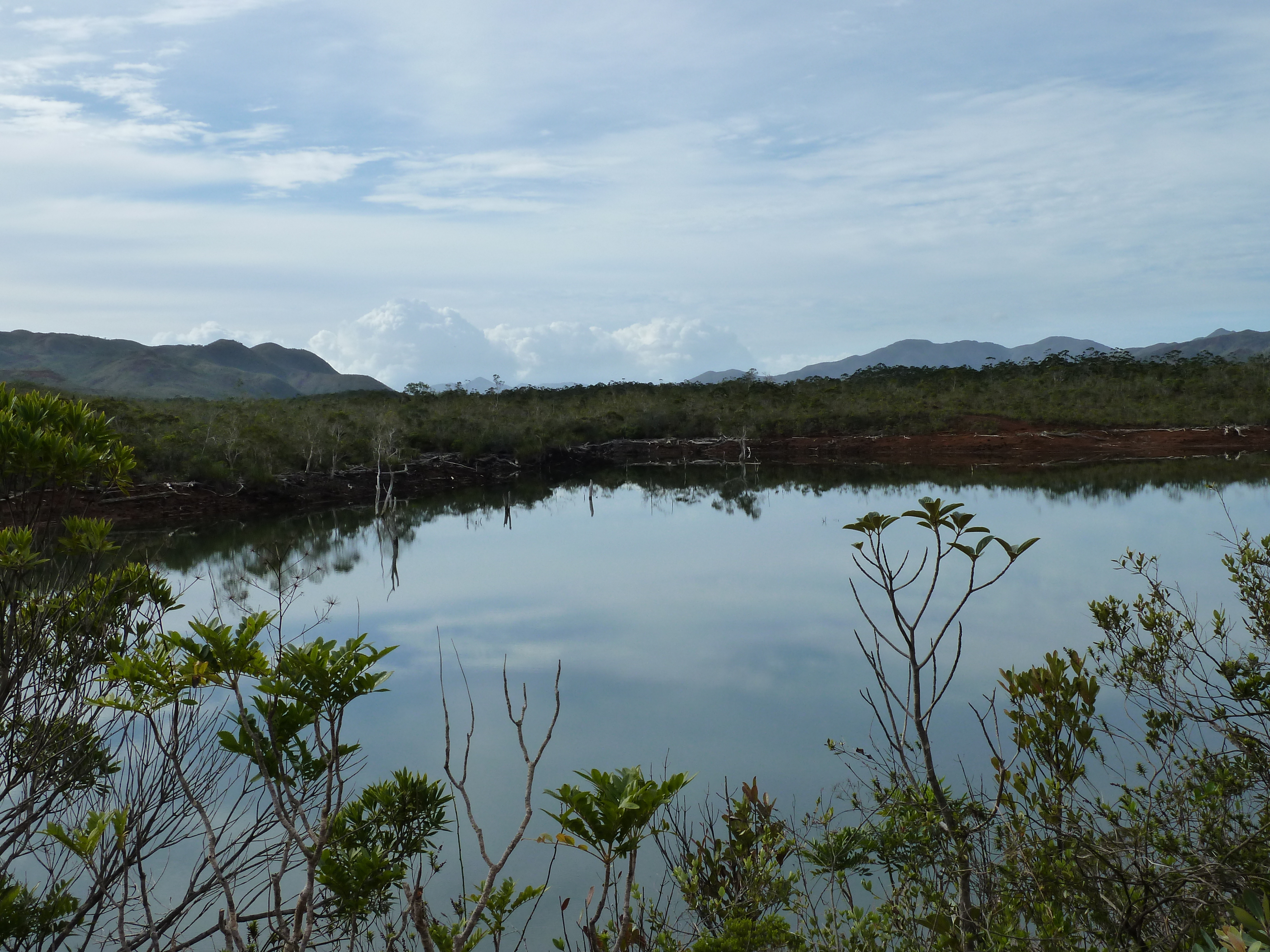 Picture New Caledonia Parc de la Riviere Bleue 2010-05 60 - Around Parc de la Riviere Bleue