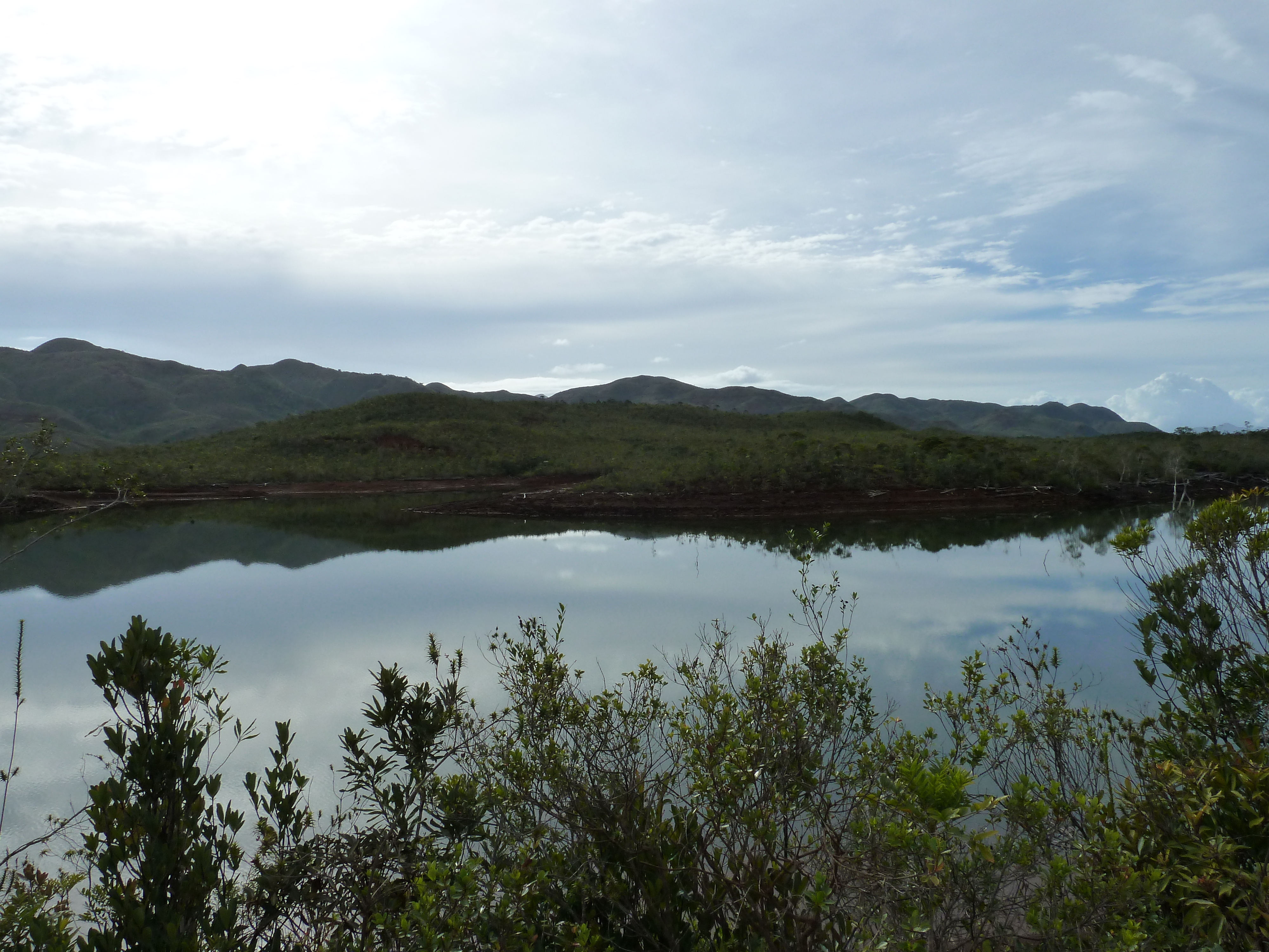 Picture New Caledonia Parc de la Riviere Bleue 2010-05 75 - Tours Parc de la Riviere Bleue