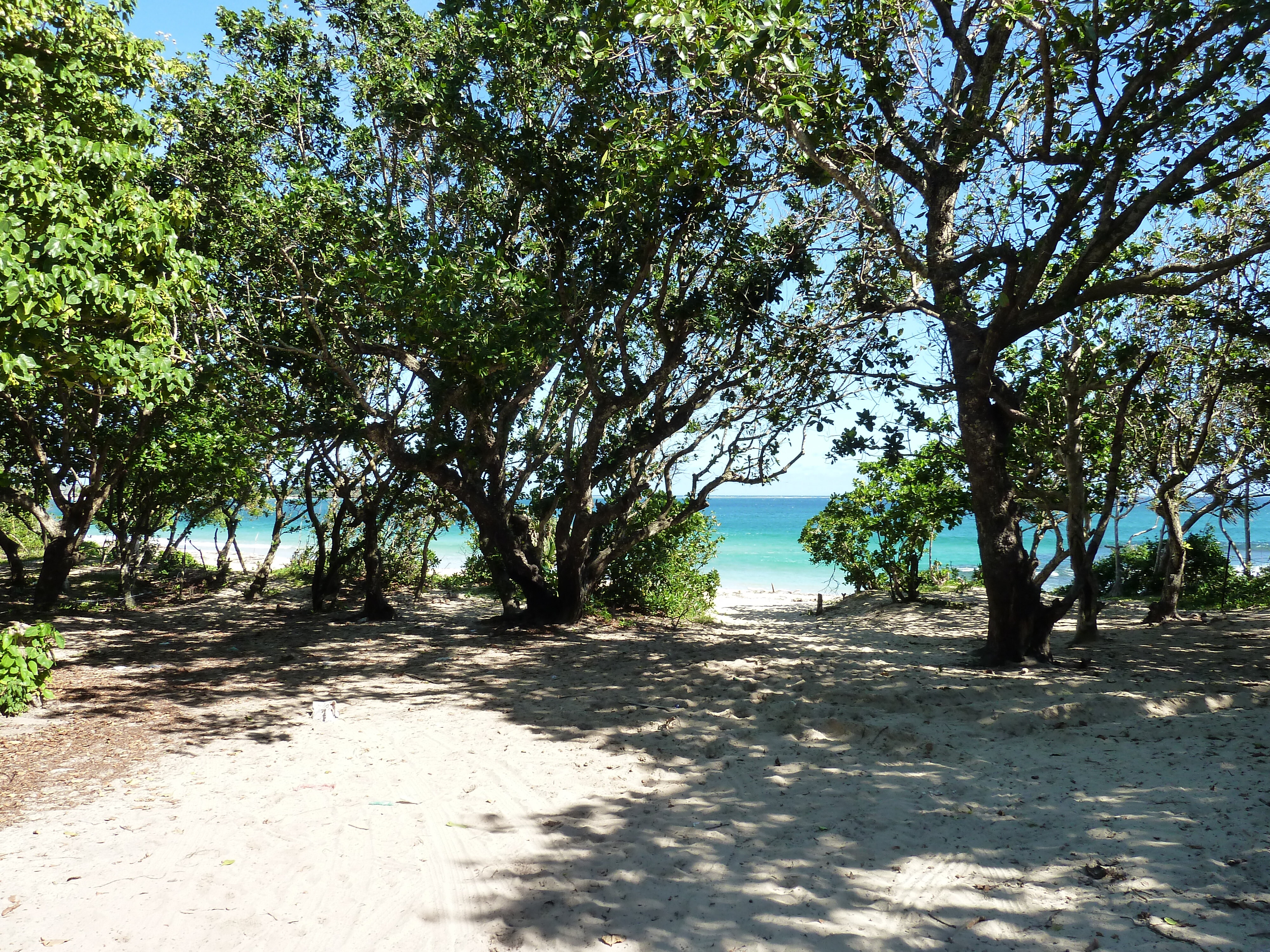 Picture Fiji Natadola beach 2010-05 46 - Discovery Natadola beach