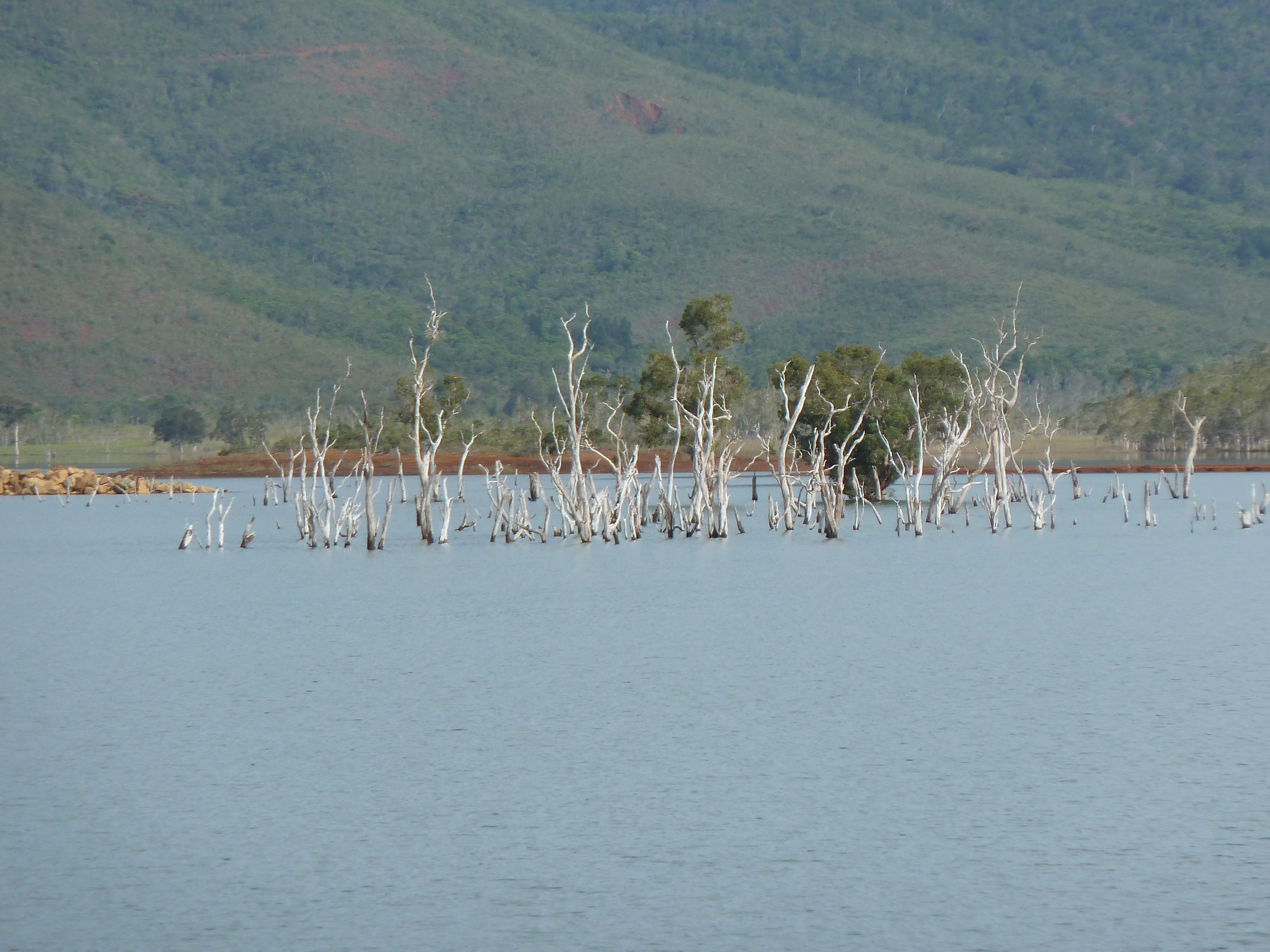 Picture New Caledonia Parc de la Riviere Bleue 2010-05 43 - Tours Parc de la Riviere Bleue